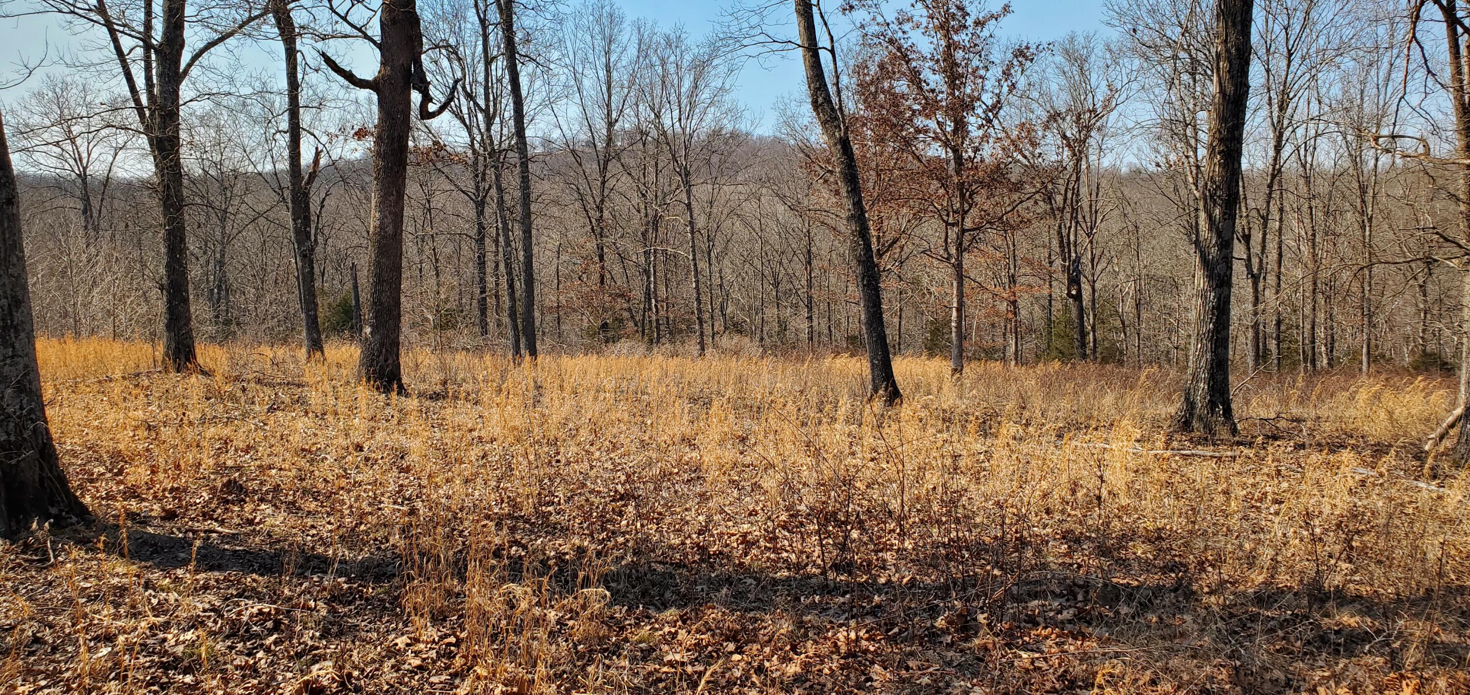 000 County Road 330 Property Photo 15