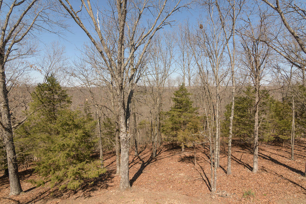 1405 Emory Creek Boulevard Property Photo 53