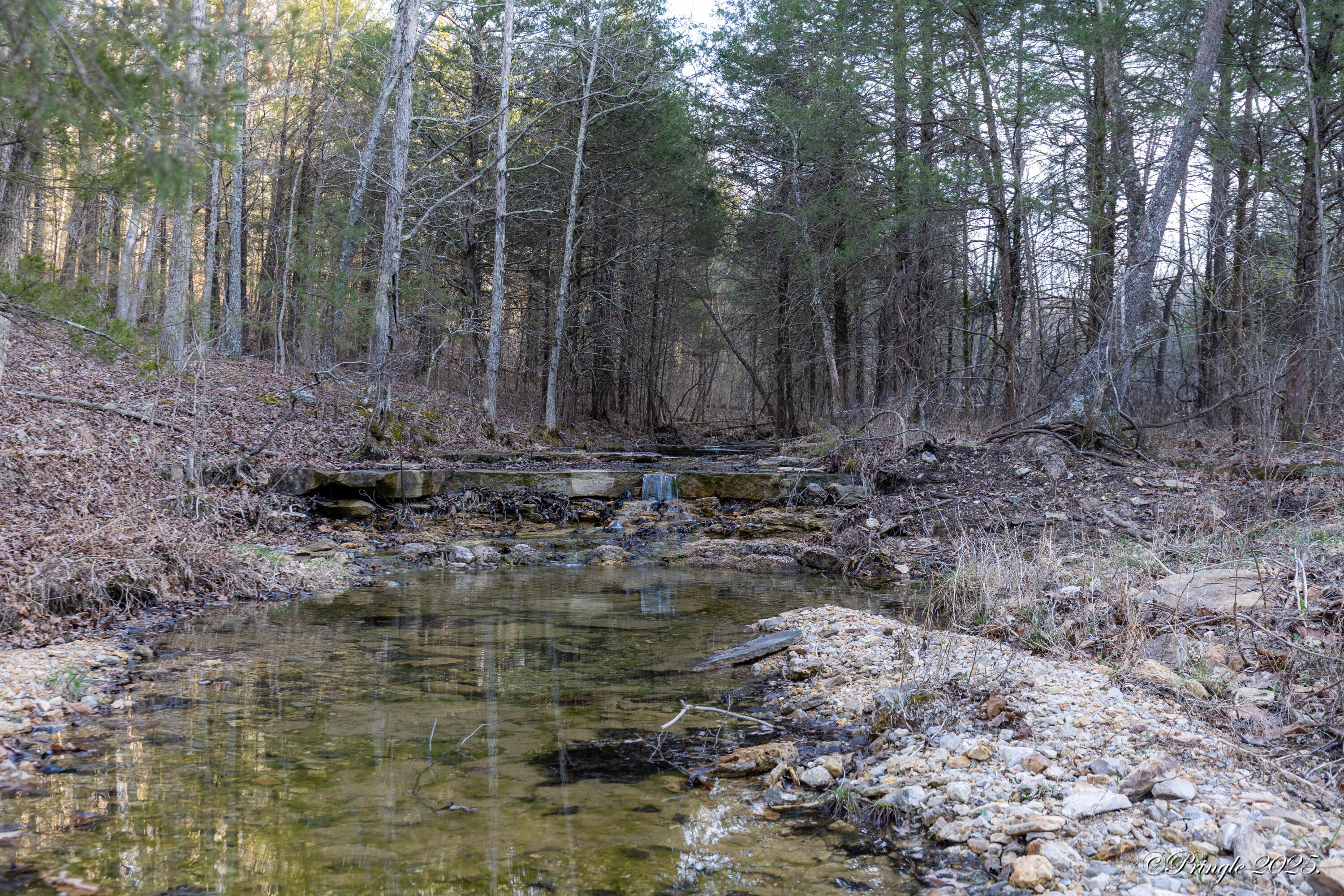 21243 State Highway N Property Photo 69