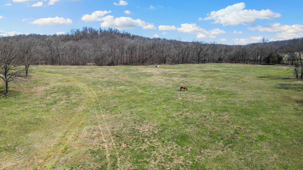 3535 Peach Orchard Road Property Photo 15