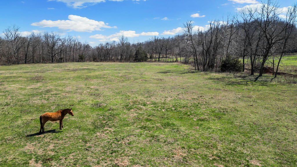 3535 Peach Orchard Road Property Photo 16