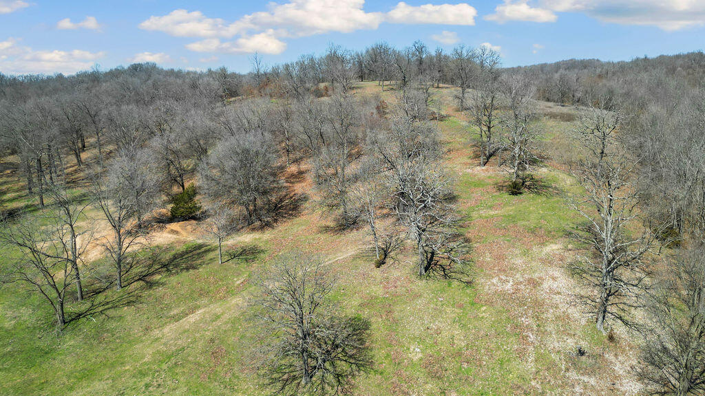 3535 Peach Orchard Road Property Photo 22