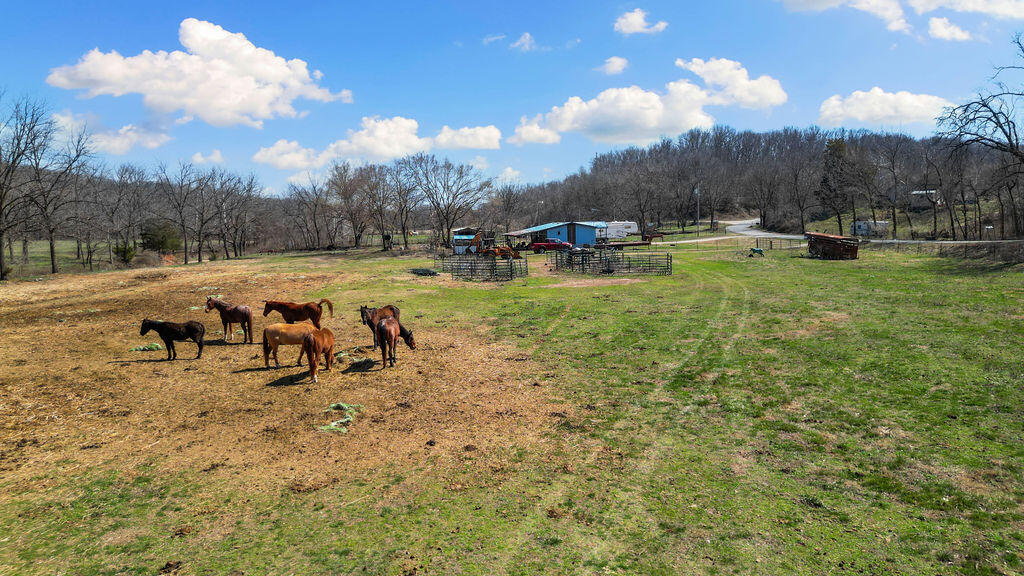 3535 Peach Orchard Road Property Photo 27