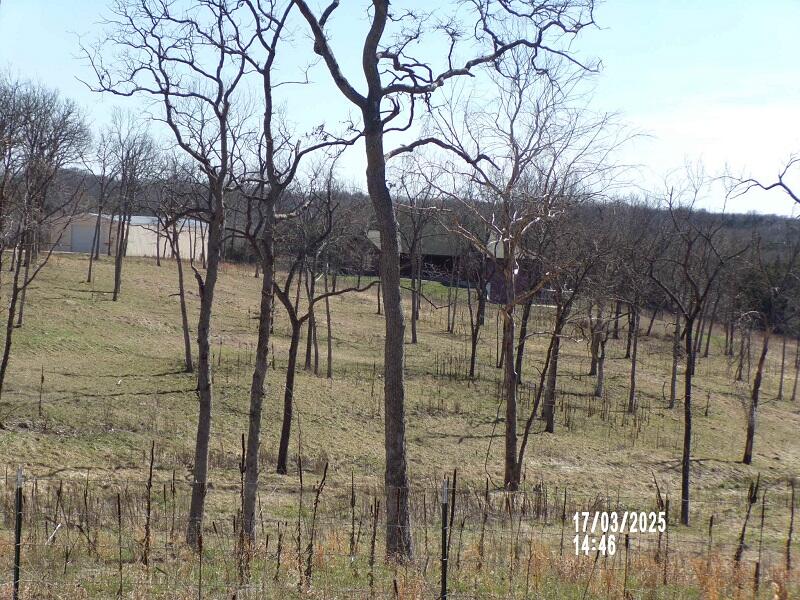 1618/1620 Tt Property Photo 52