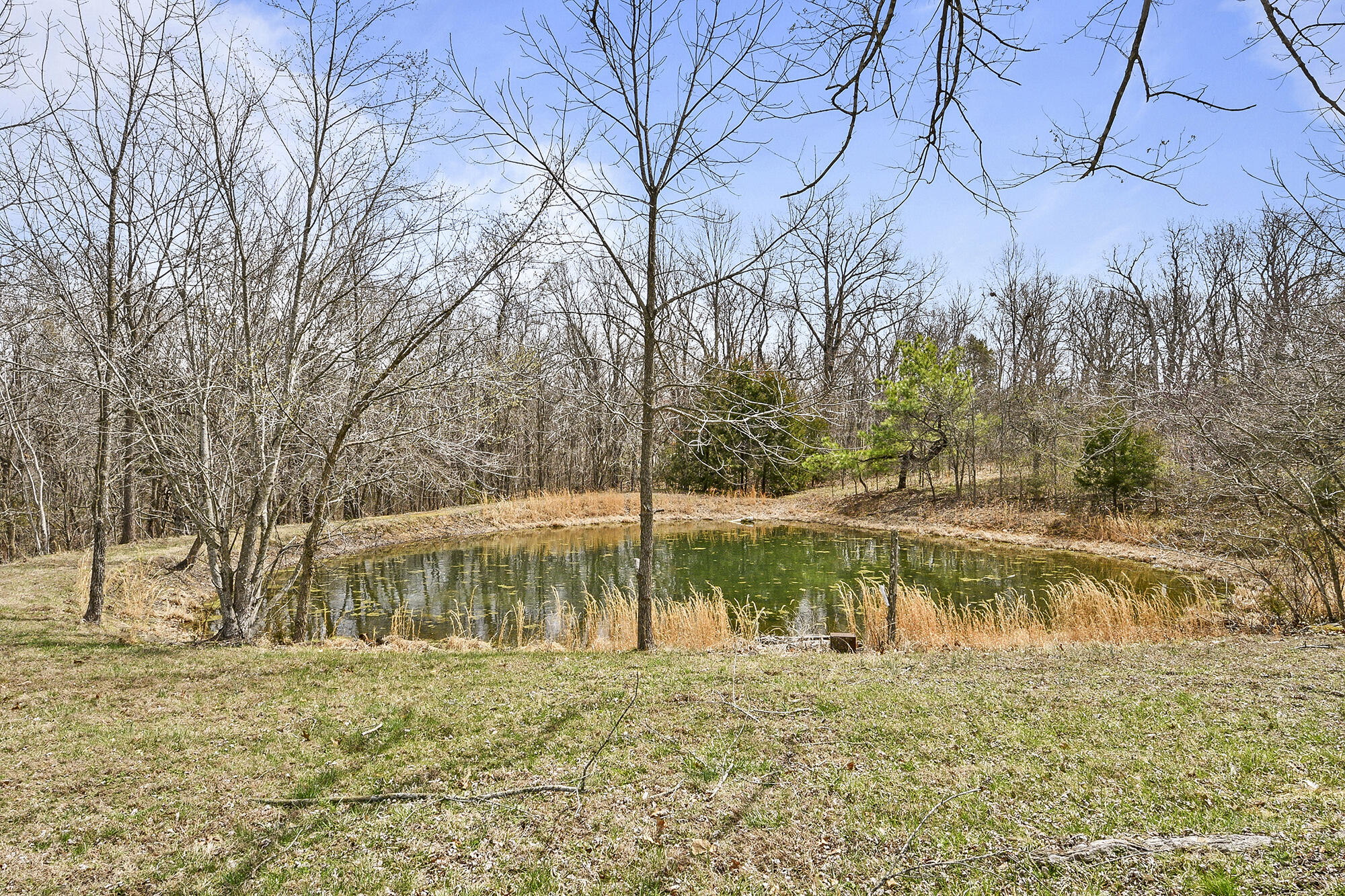 371 State Road F Property Photo 37