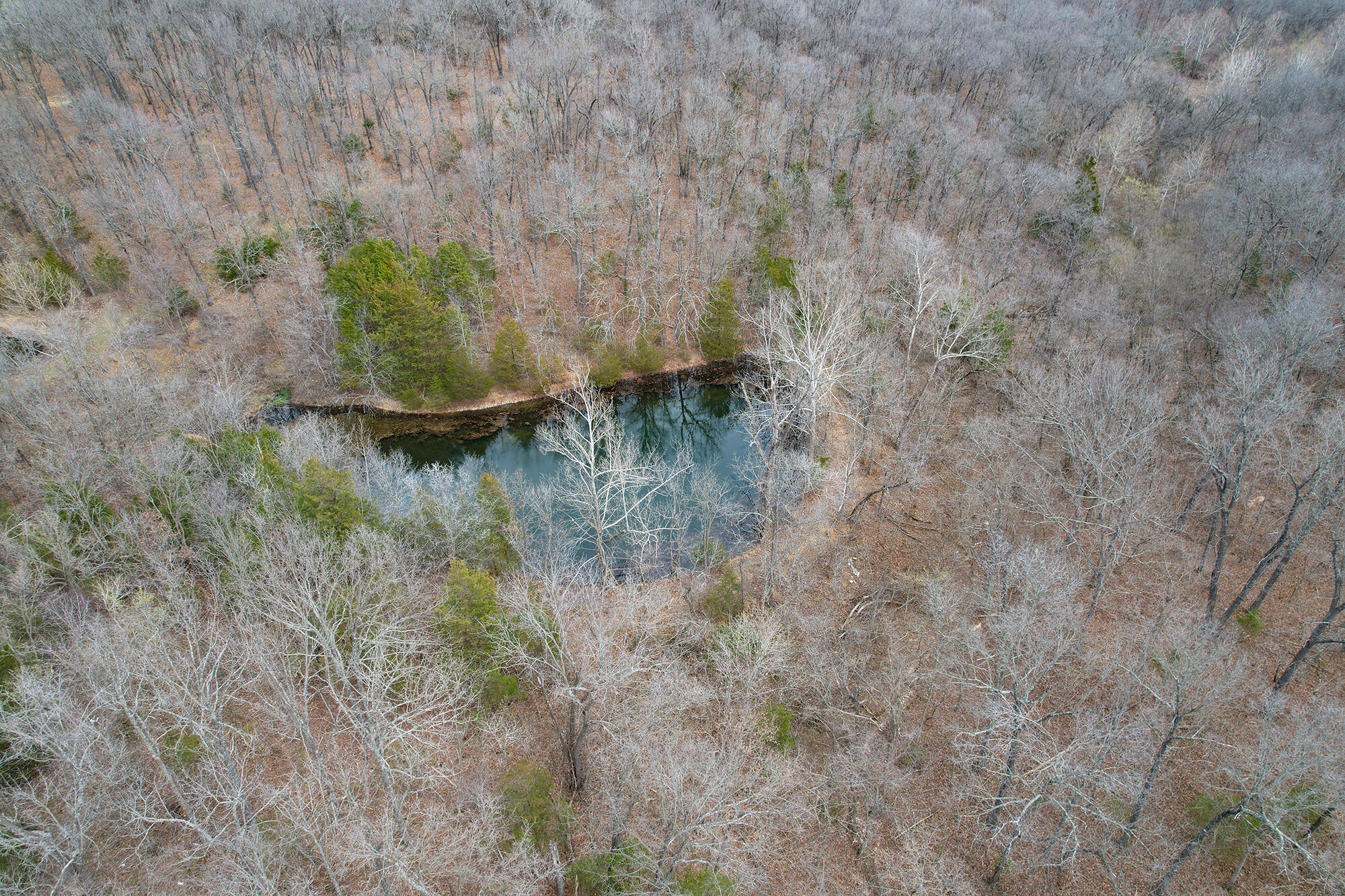 371 State Road F Property Photo 45