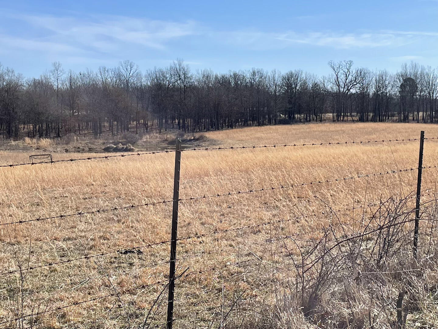 22177 Midvale Road Property Photo 3