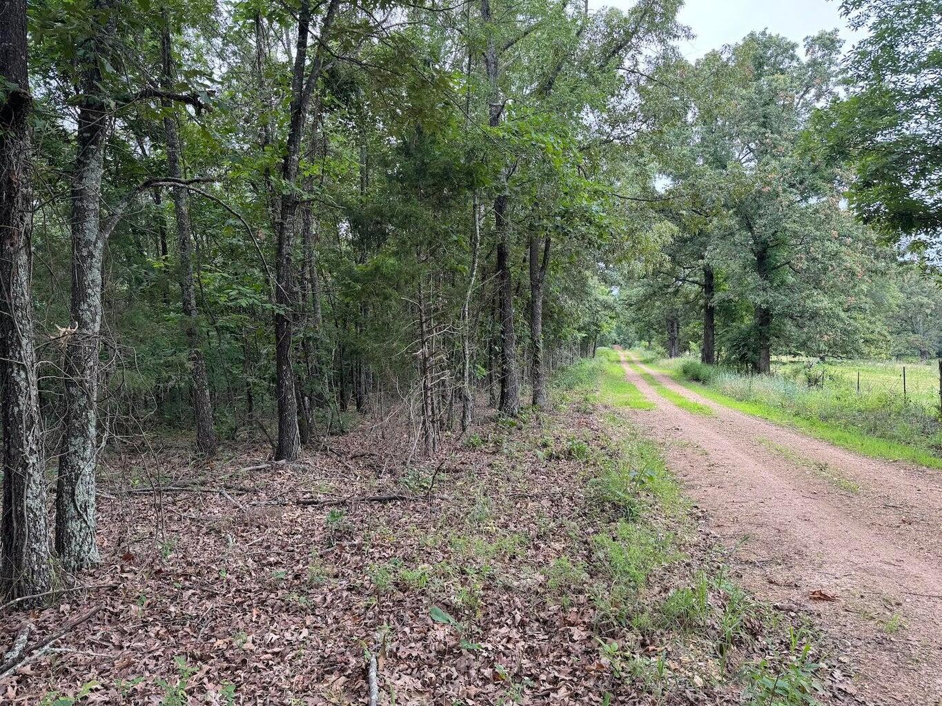 976 County Road 121 Property Photo 1