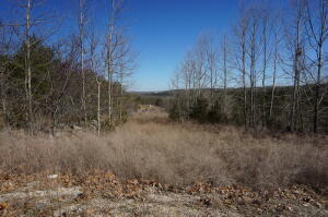 2198 Maple Street Property Photo 18