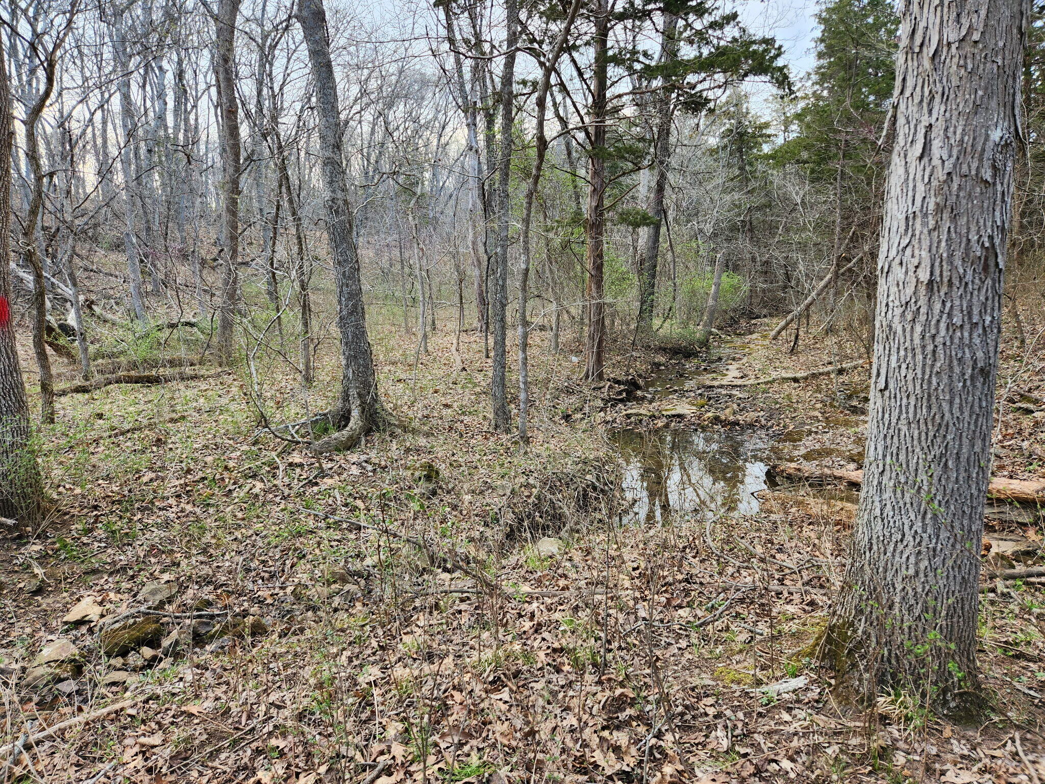 21594 County Rd. 189 Property Photo 11