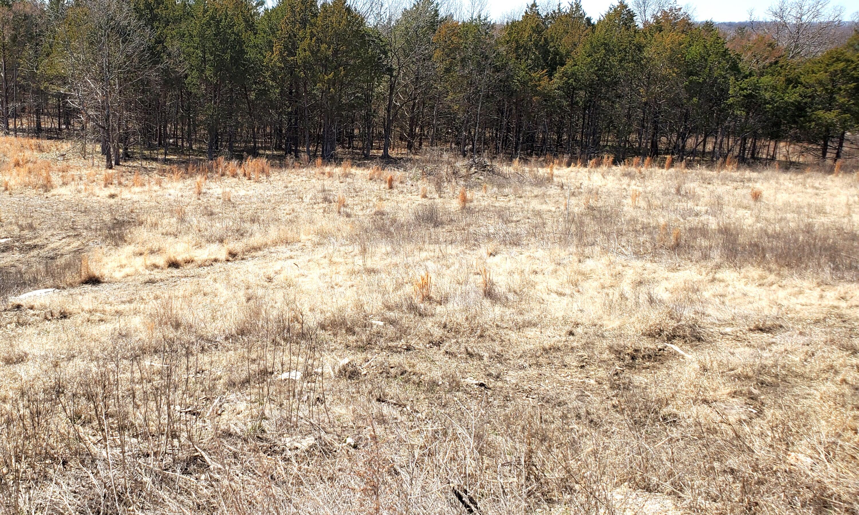 000 Lot 188 Silver Sunset Lane Property Photo 1