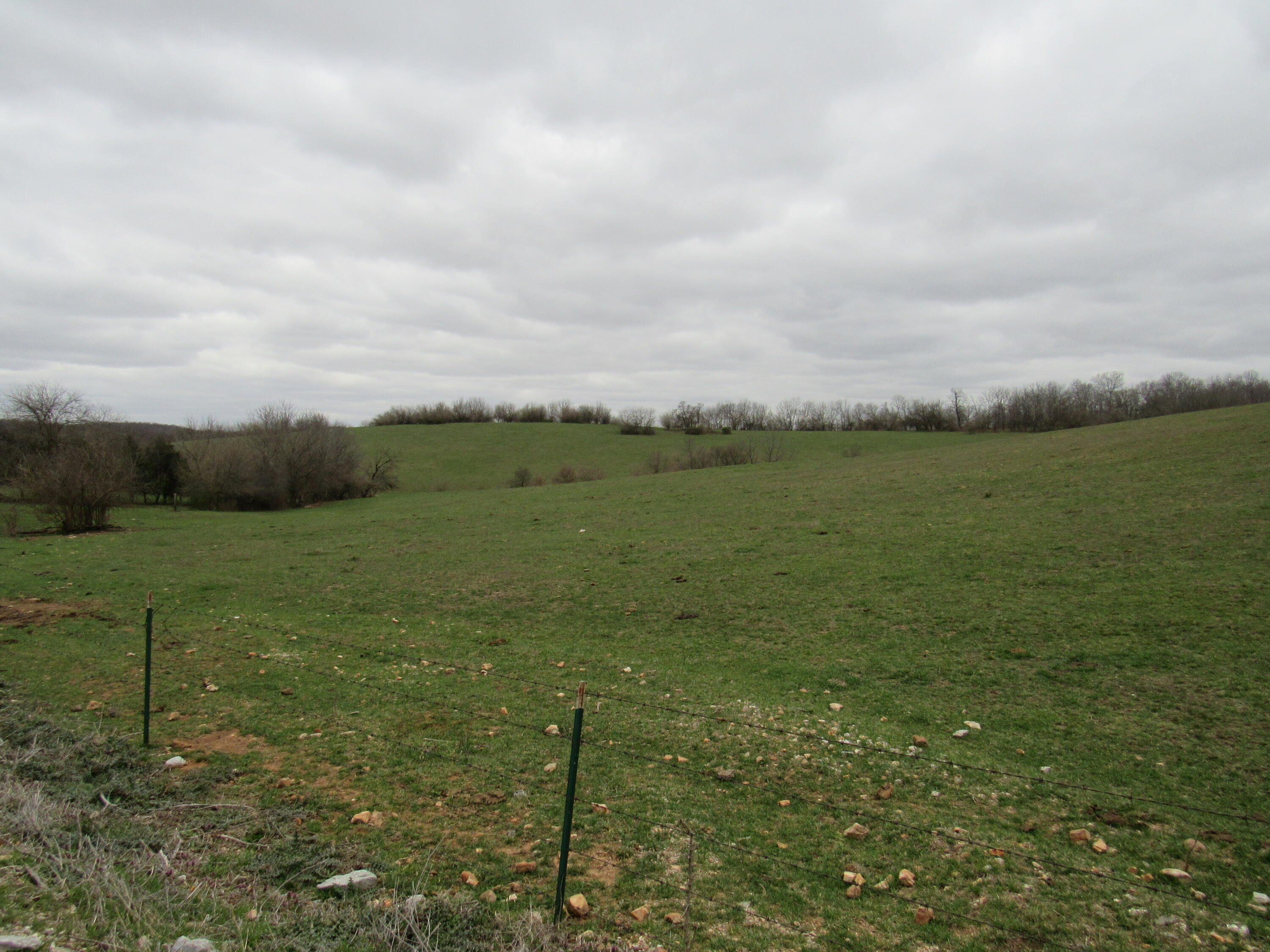 0001 Barnett Hill Drive Property Photo 5