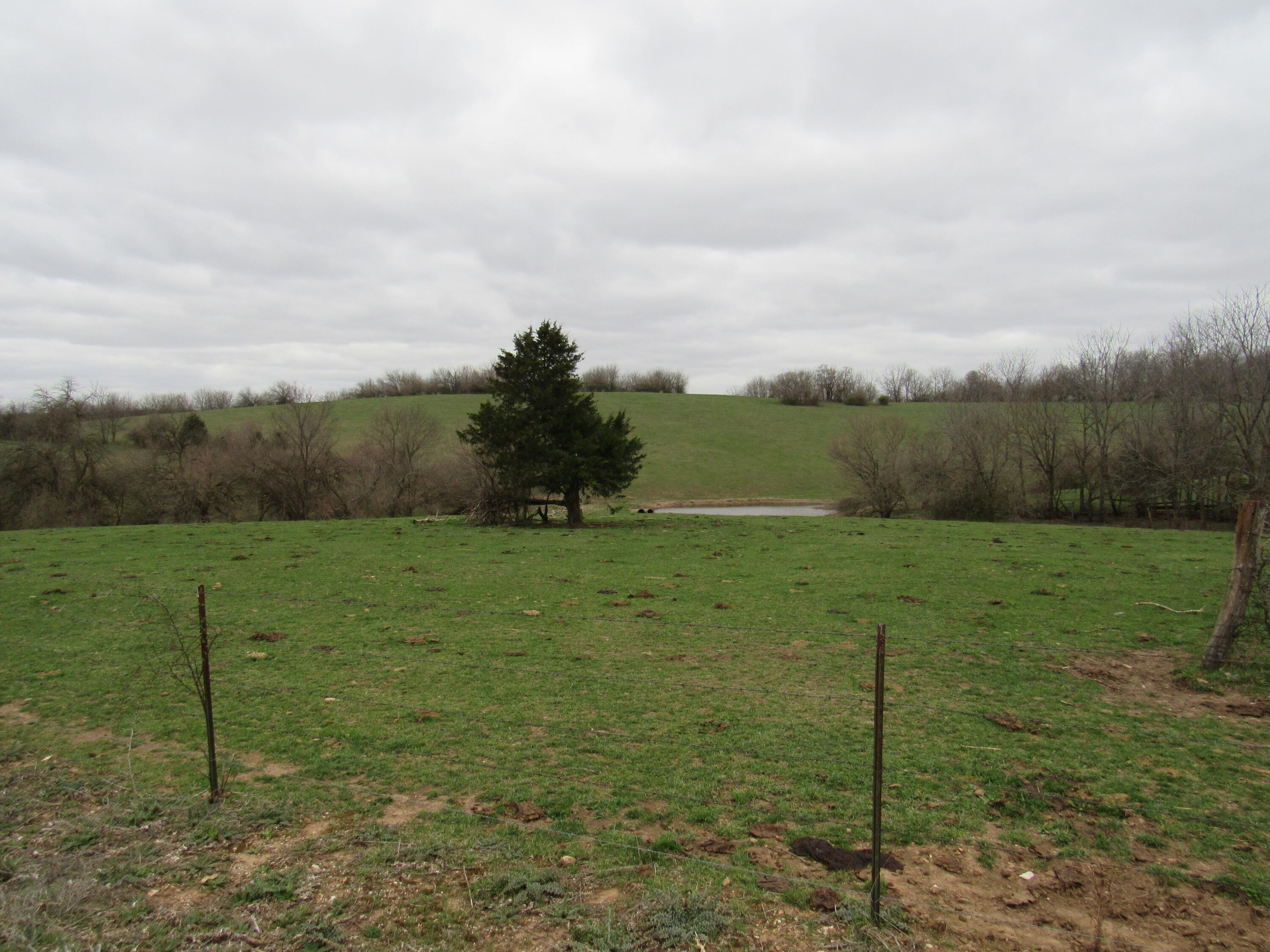 0001 Barnett Hill Drive Property Photo 6