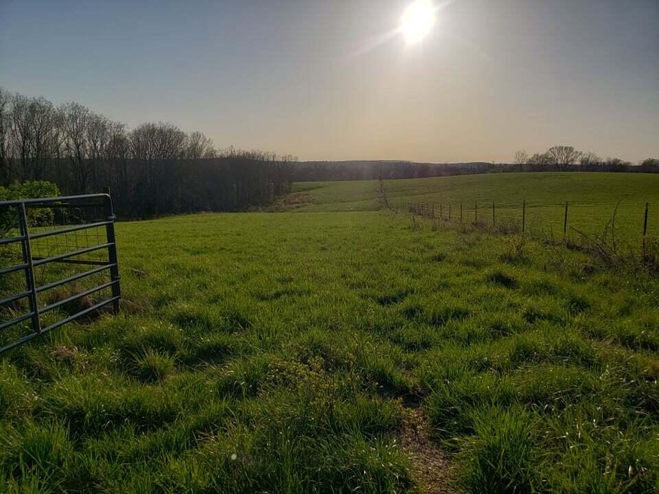 000 Highway Ae Property Photo 2
