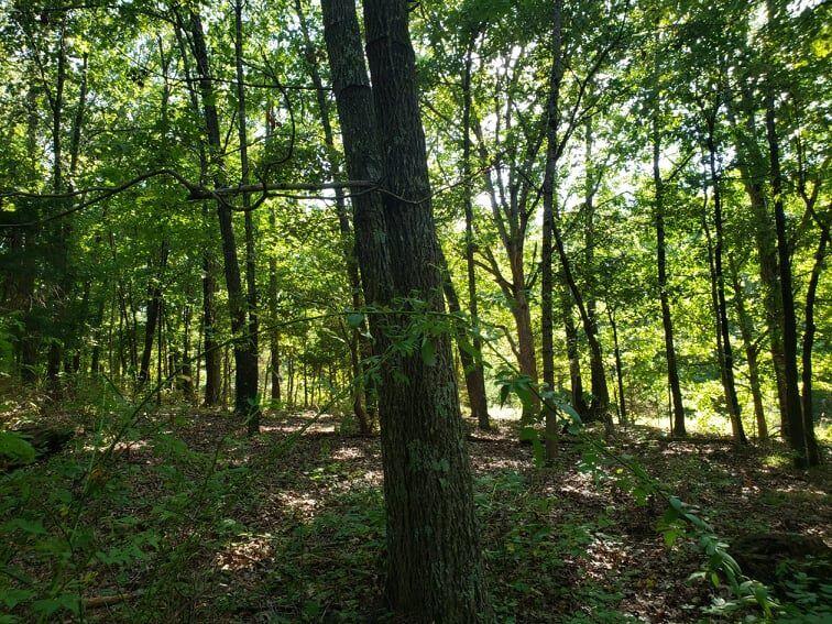000 Highway Ae Property Photo 3
