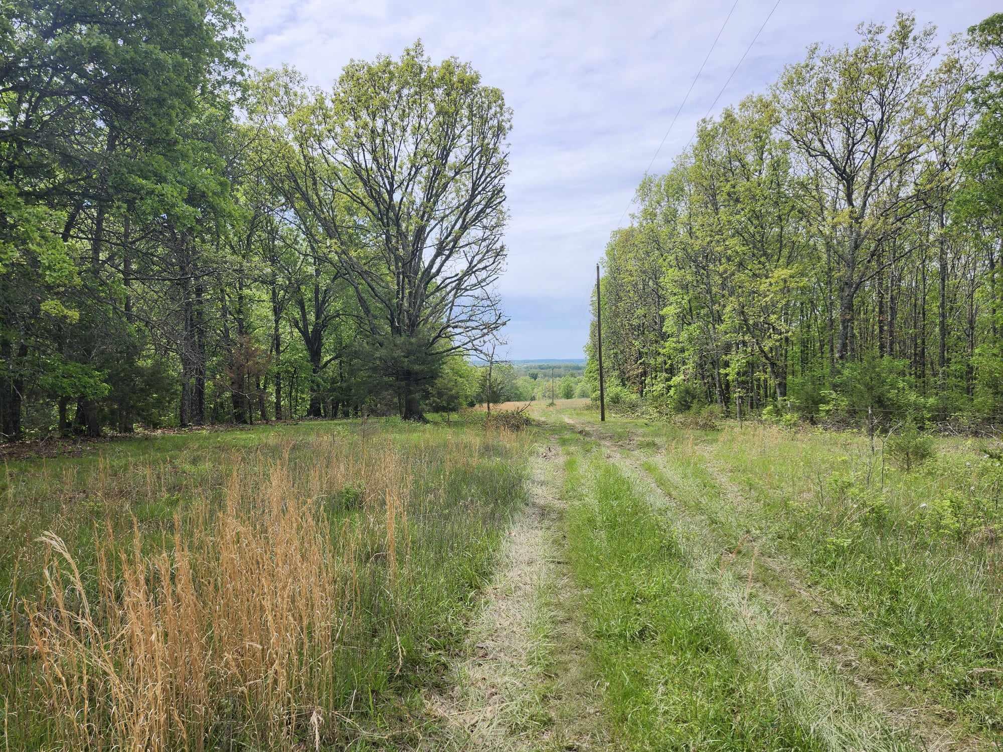 000 Highway Ae Property Photo 4