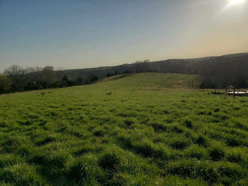 000 Highway Ae Property Photo 5