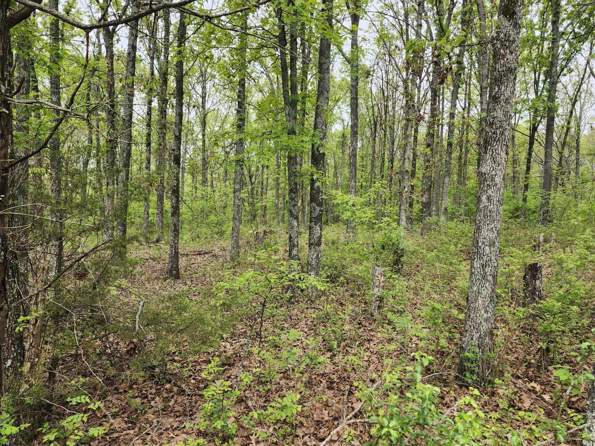 000 Highway Ae Property Photo 10