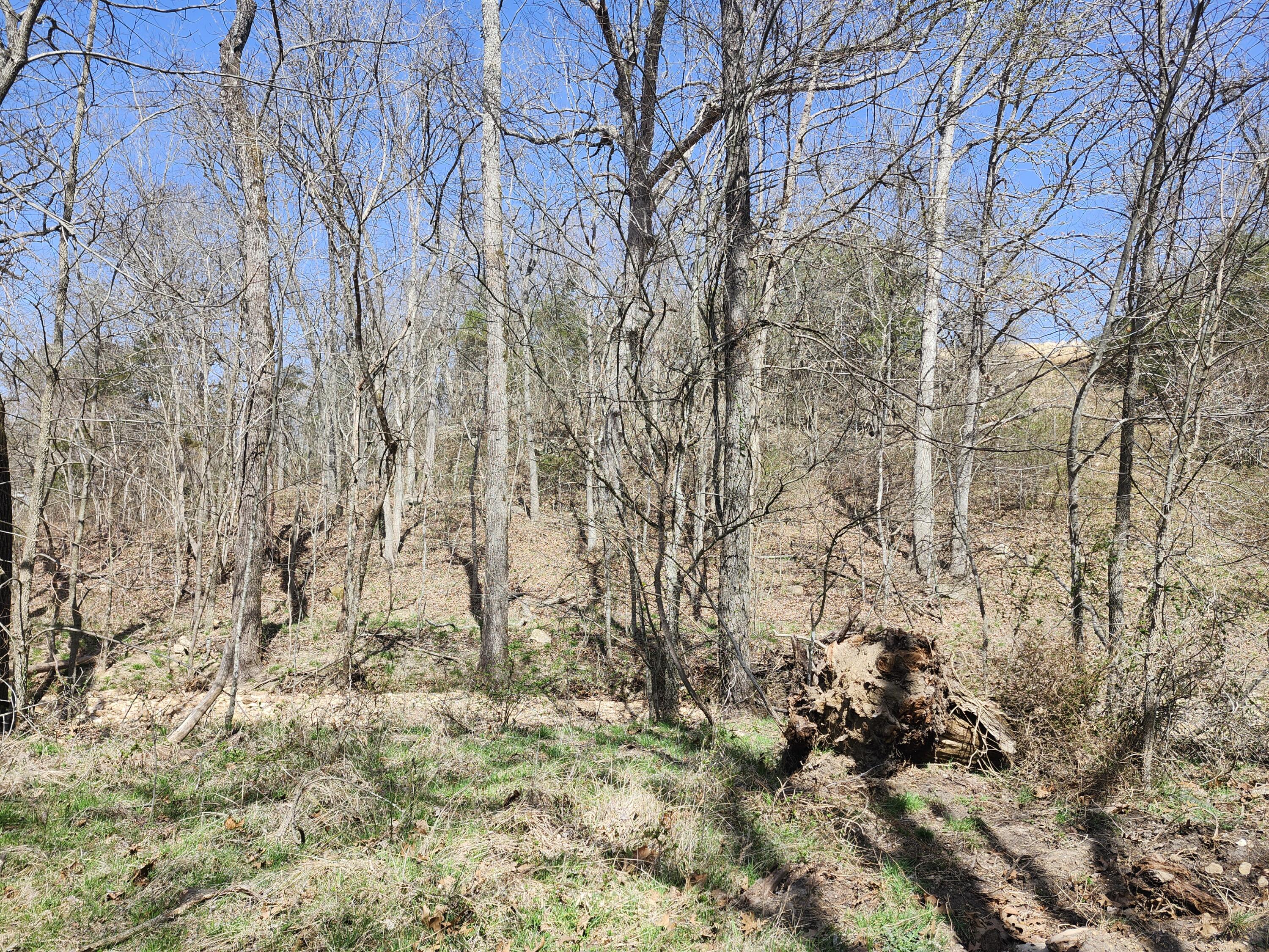000 Highway Ae Property Photo 11