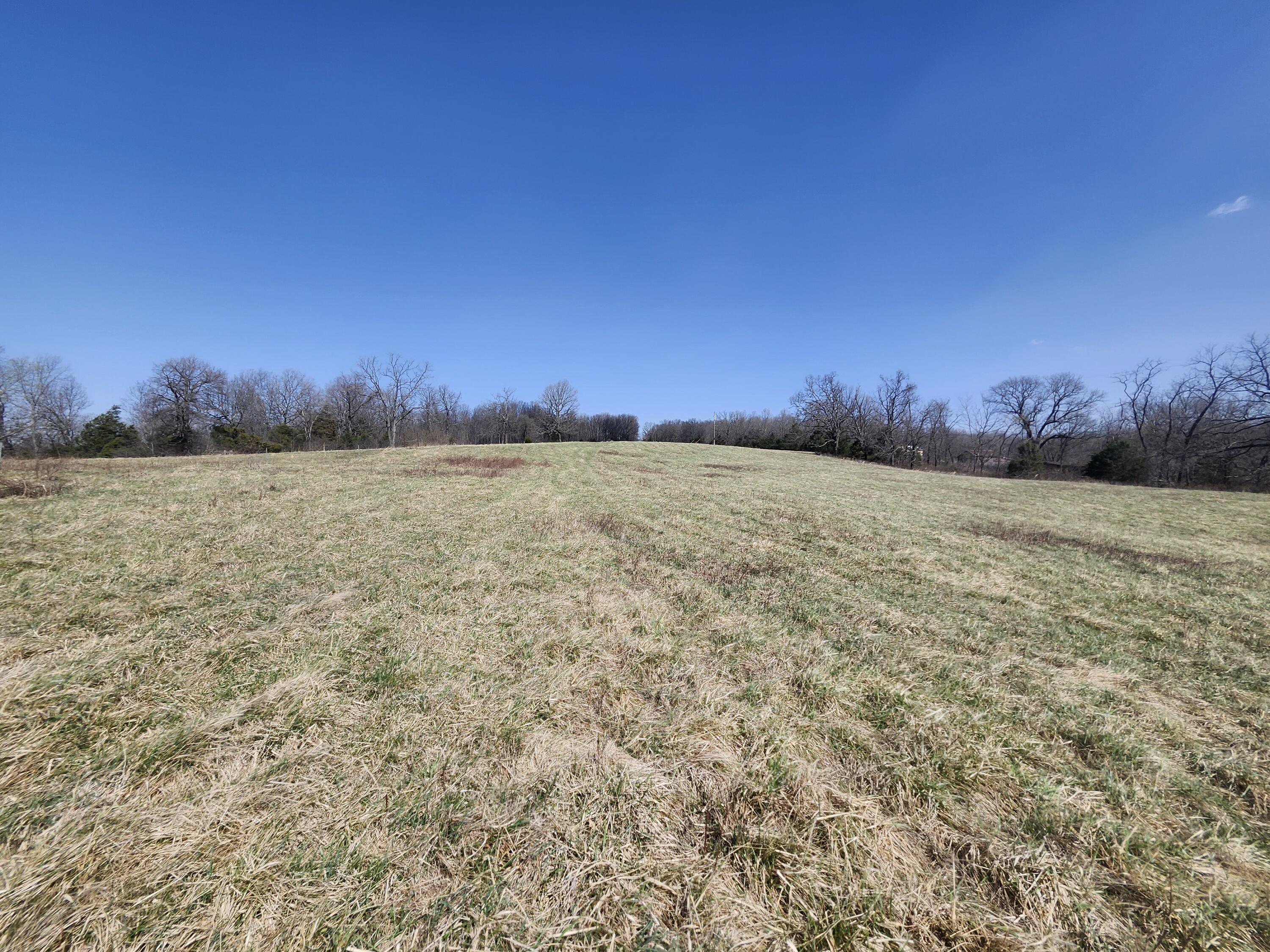 000 Highway Ae Property Photo 13