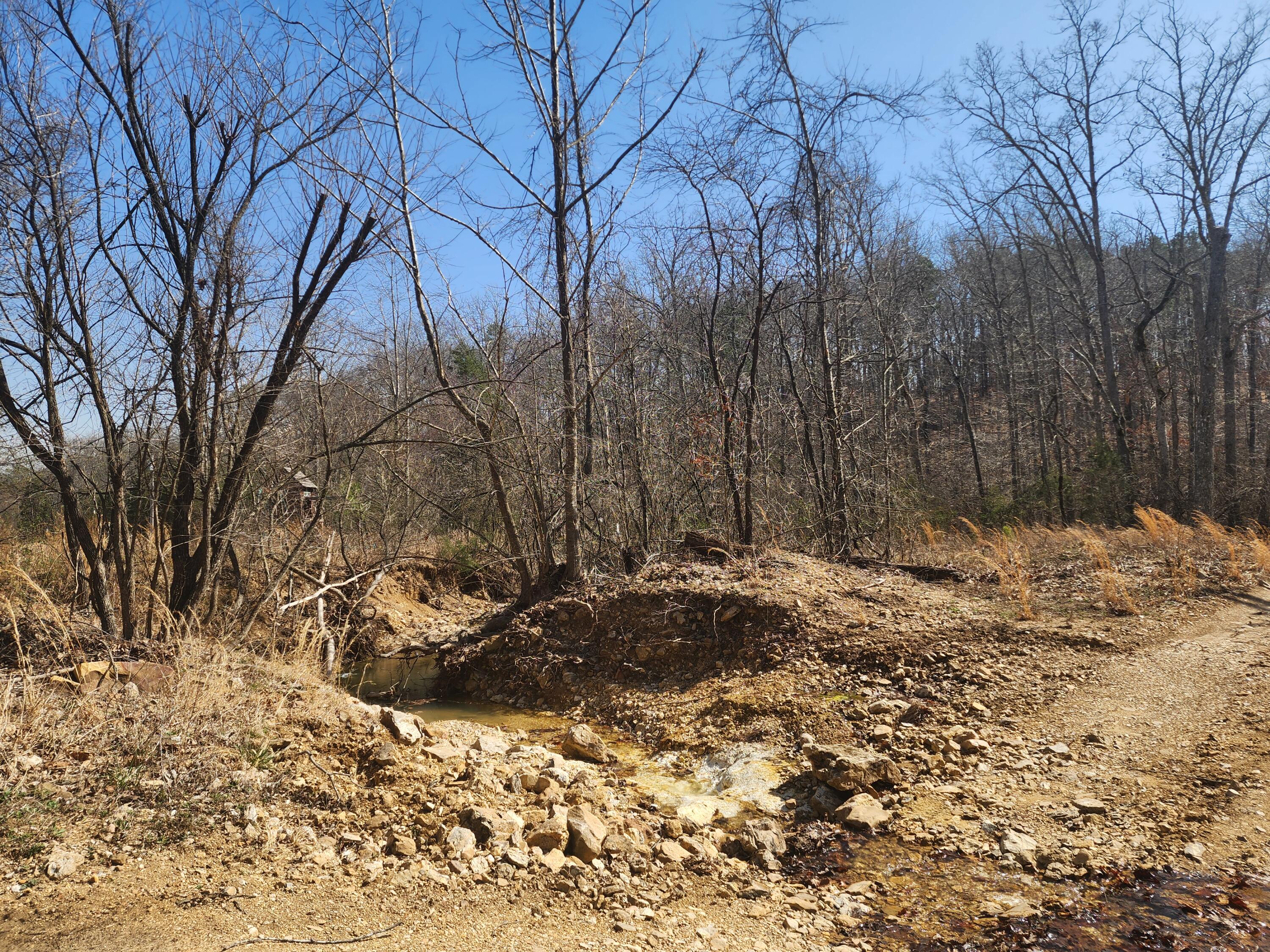 496 Timberline Road Property Photo 10