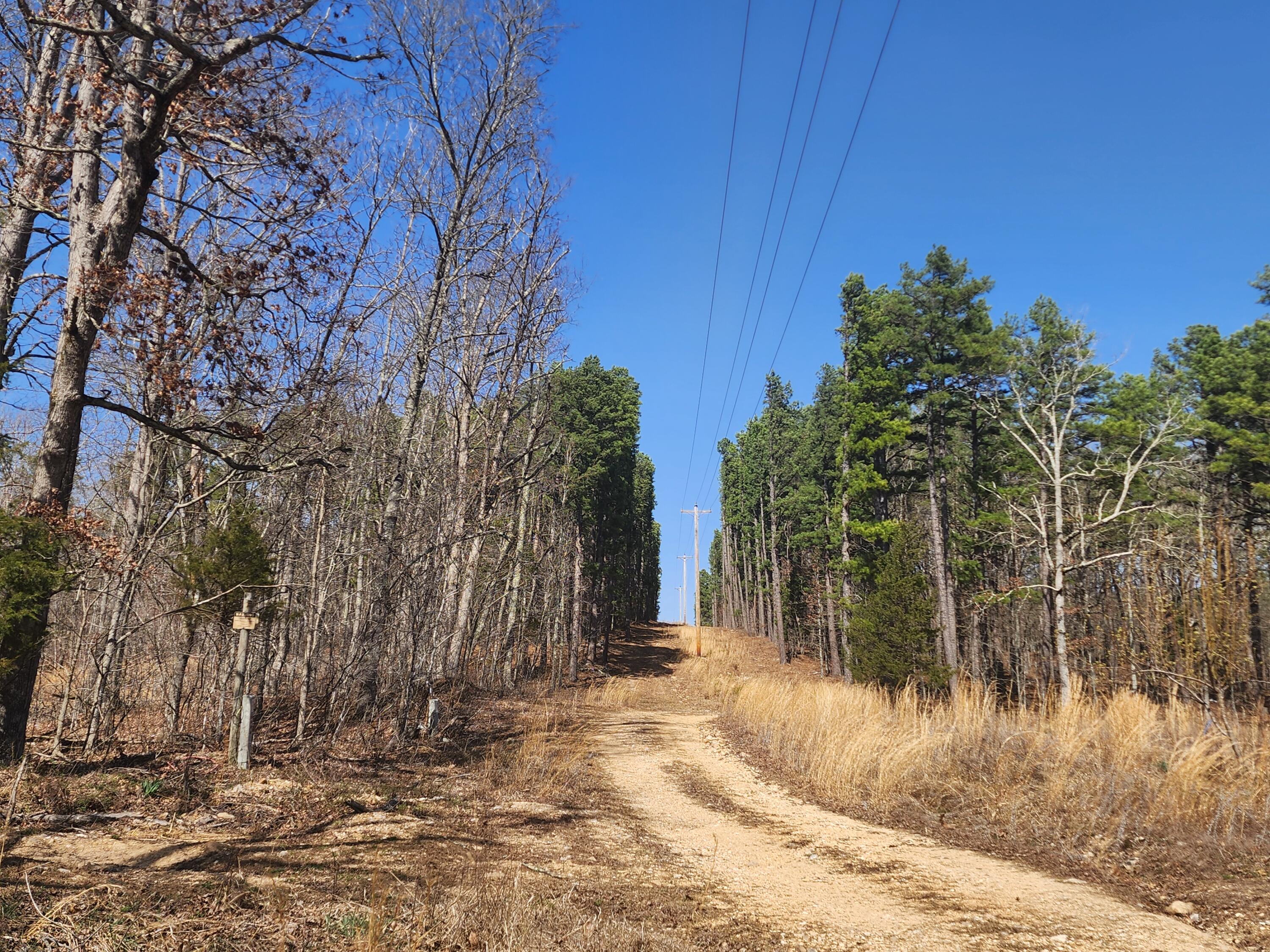496 Timberline Road Property Photo 13