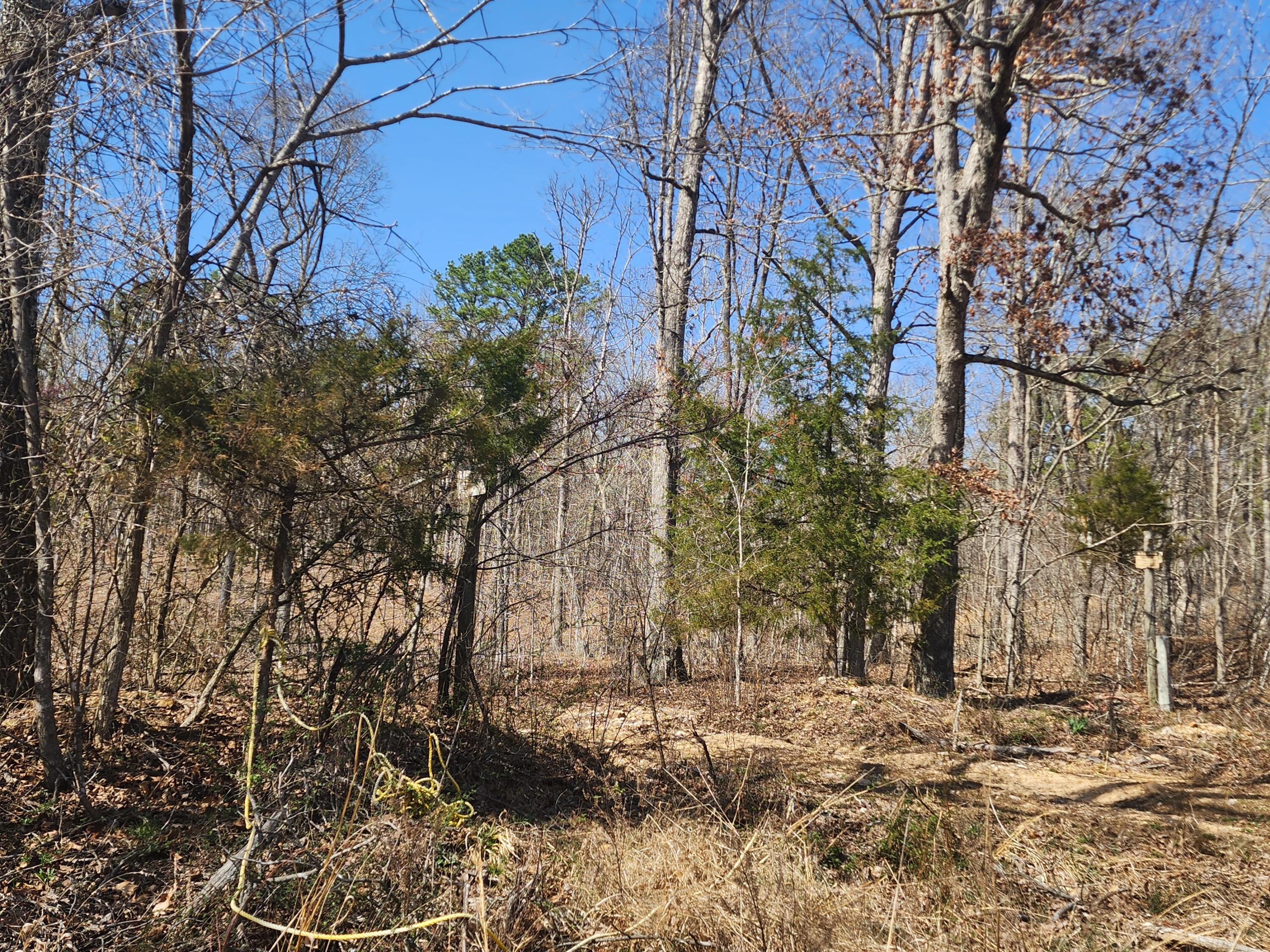 496 Timberline Road Property Photo 14
