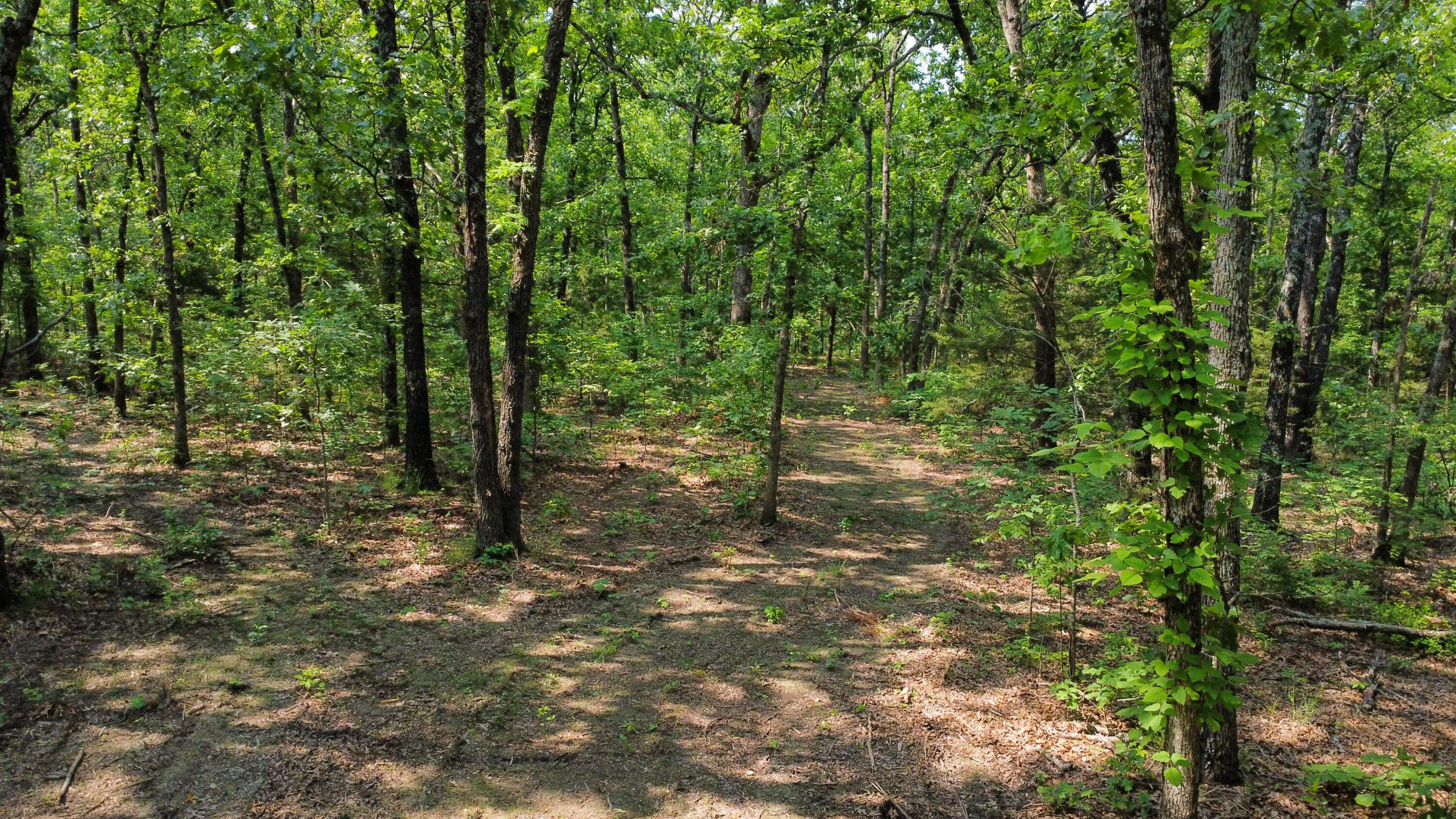 000 Doe Run Rd Property Photo 7