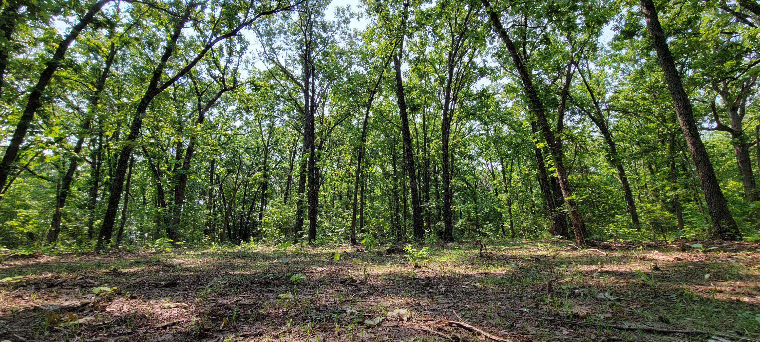 000 Doe Run Rd Property Photo 8