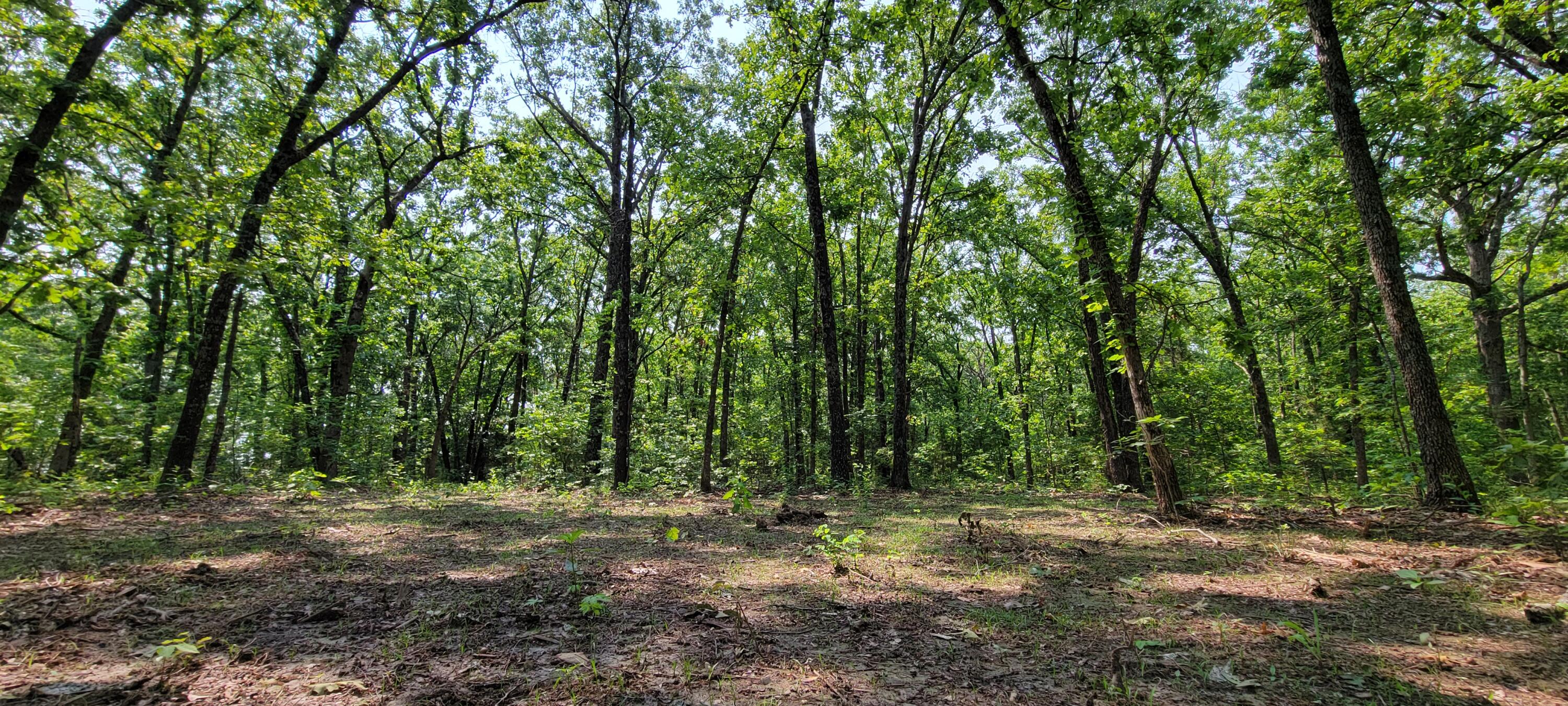 000 Doe Run Rd Property Photo 11