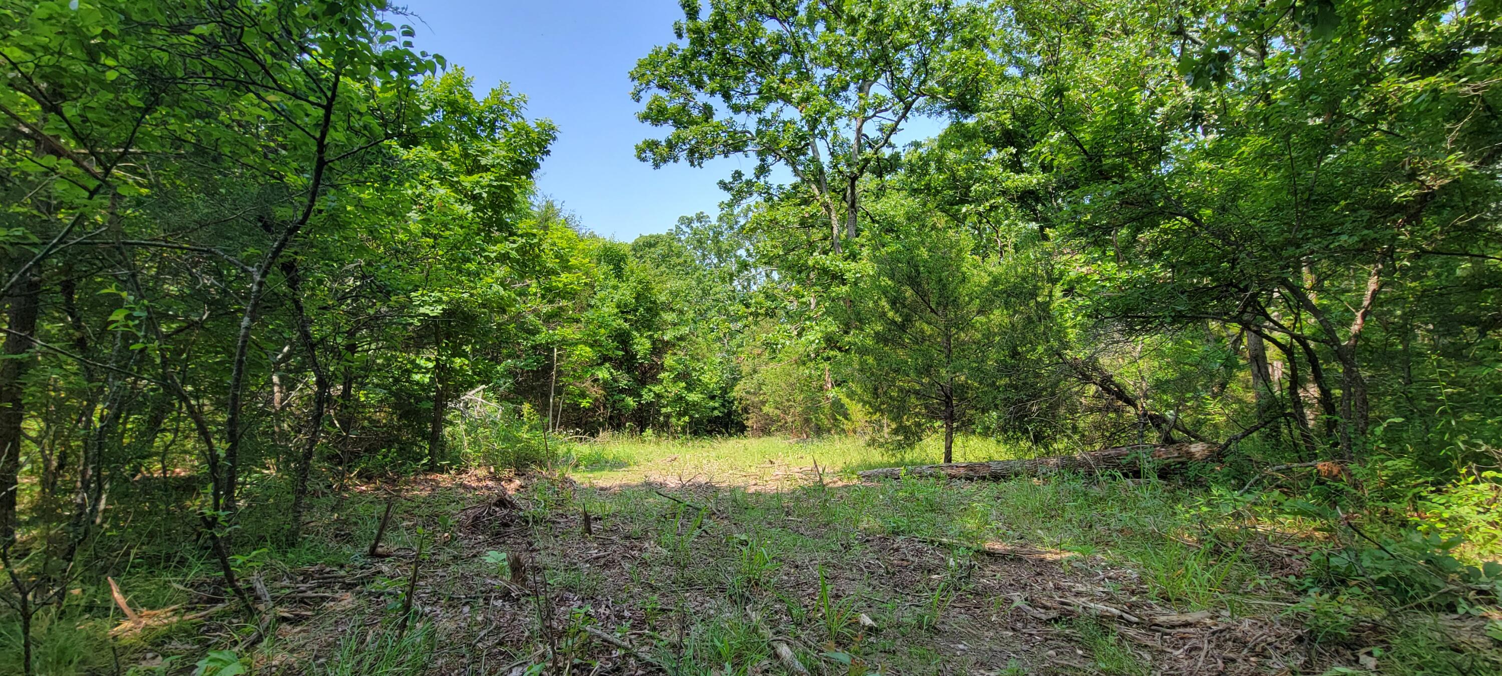 000 Doe Run Rd Property Photo 13