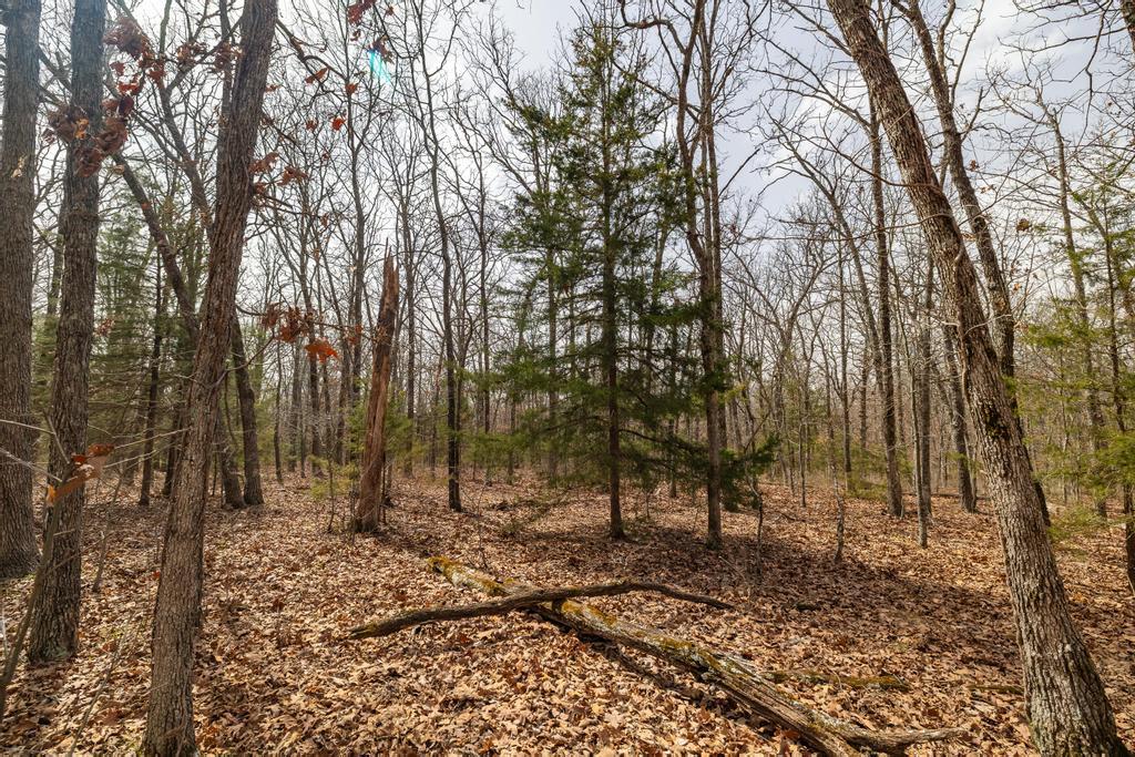 000 Doe Run Rd Property Photo 14