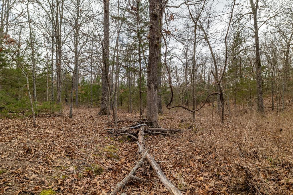 000 Doe Run Rd Property Photo 15