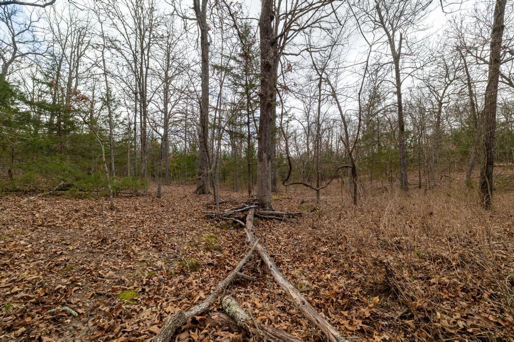 000 Doe Run Rd Property Photo 16