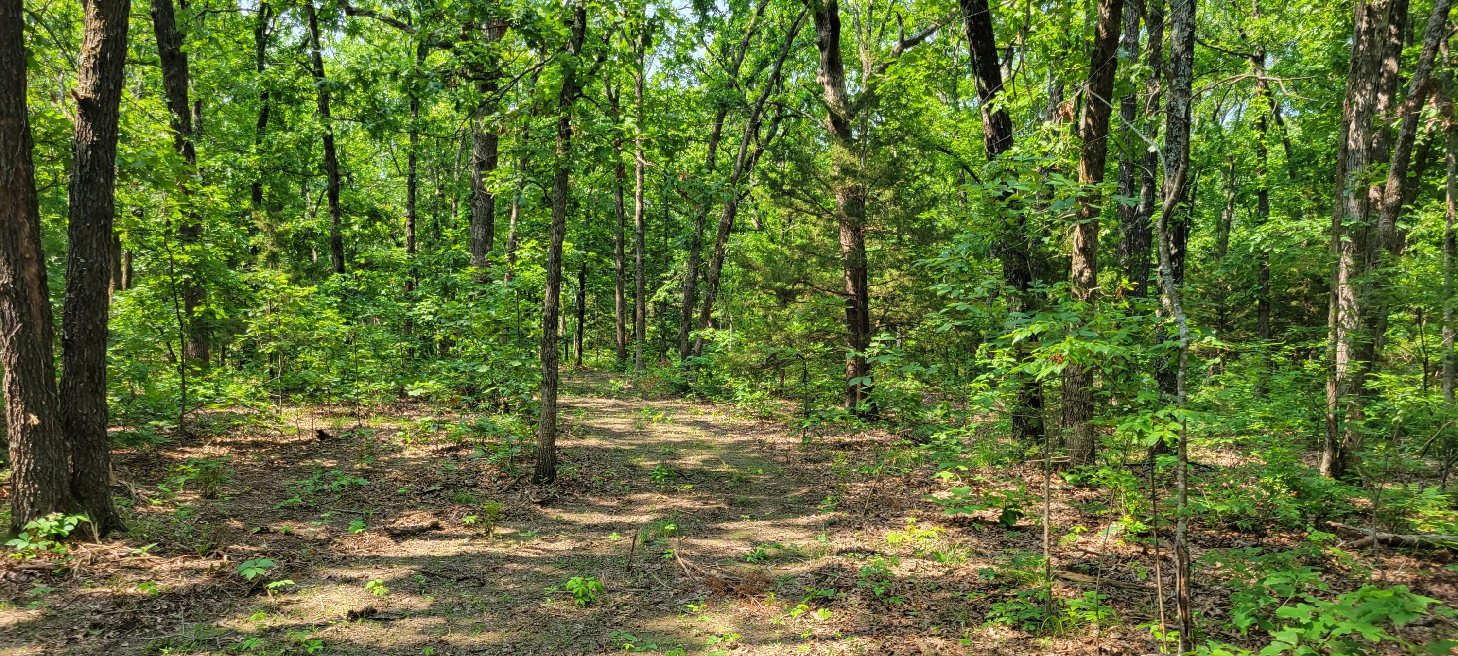 000 Doe Run Rd Property Photo 18