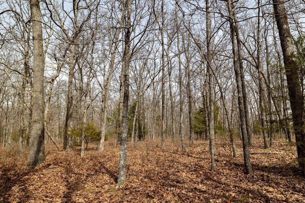 000 Doe Run Rd Property Photo 30