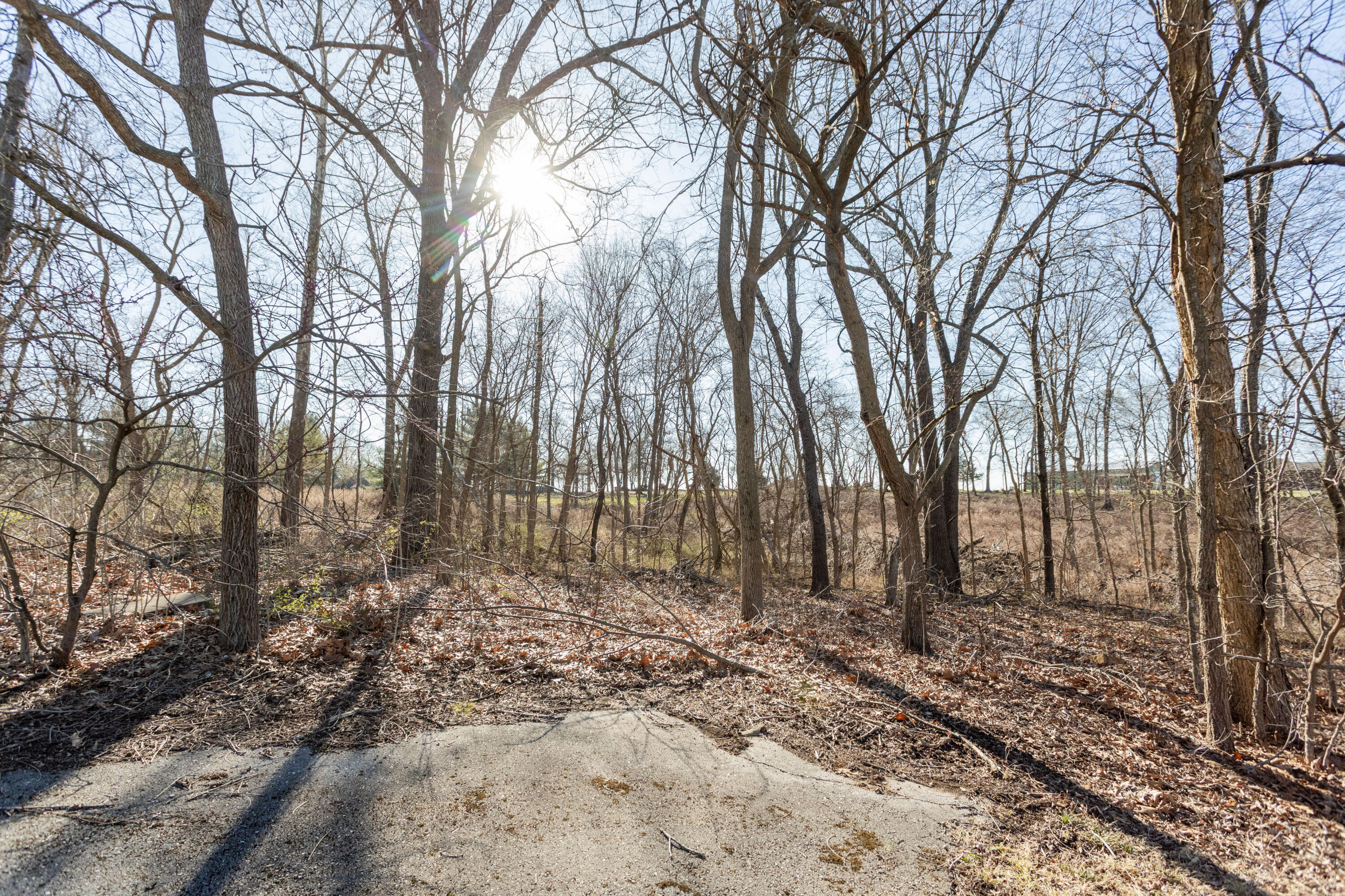 2146 North Haseltine Road Property Photo 31