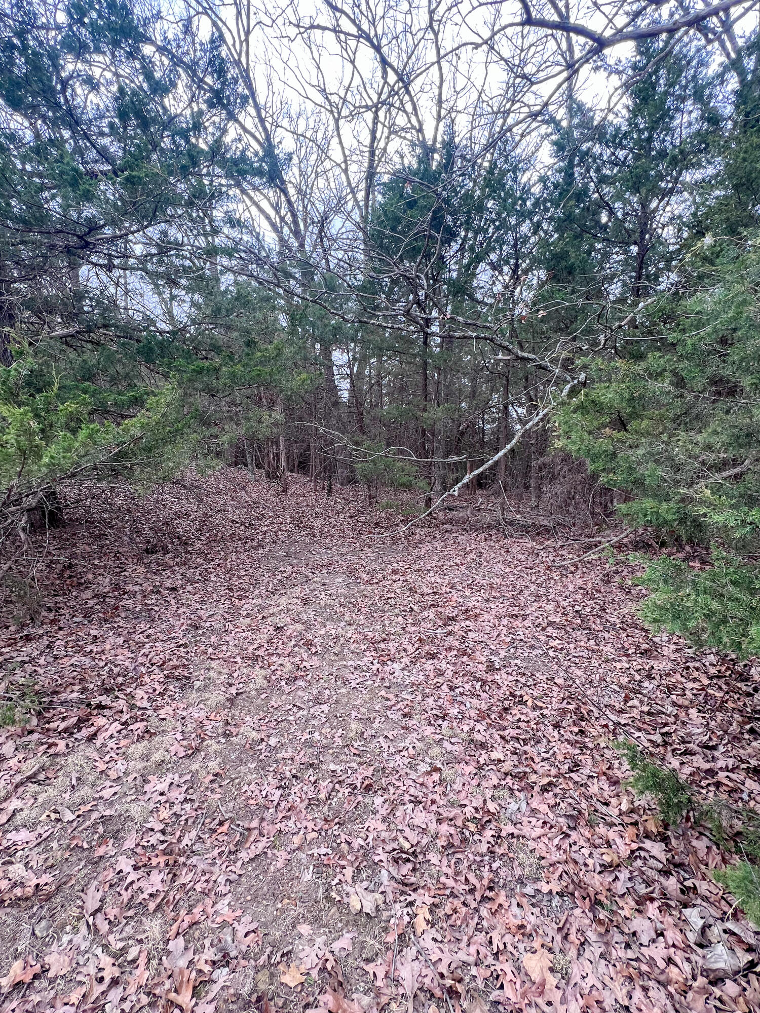 000 County Road 245 Property Photo 3
