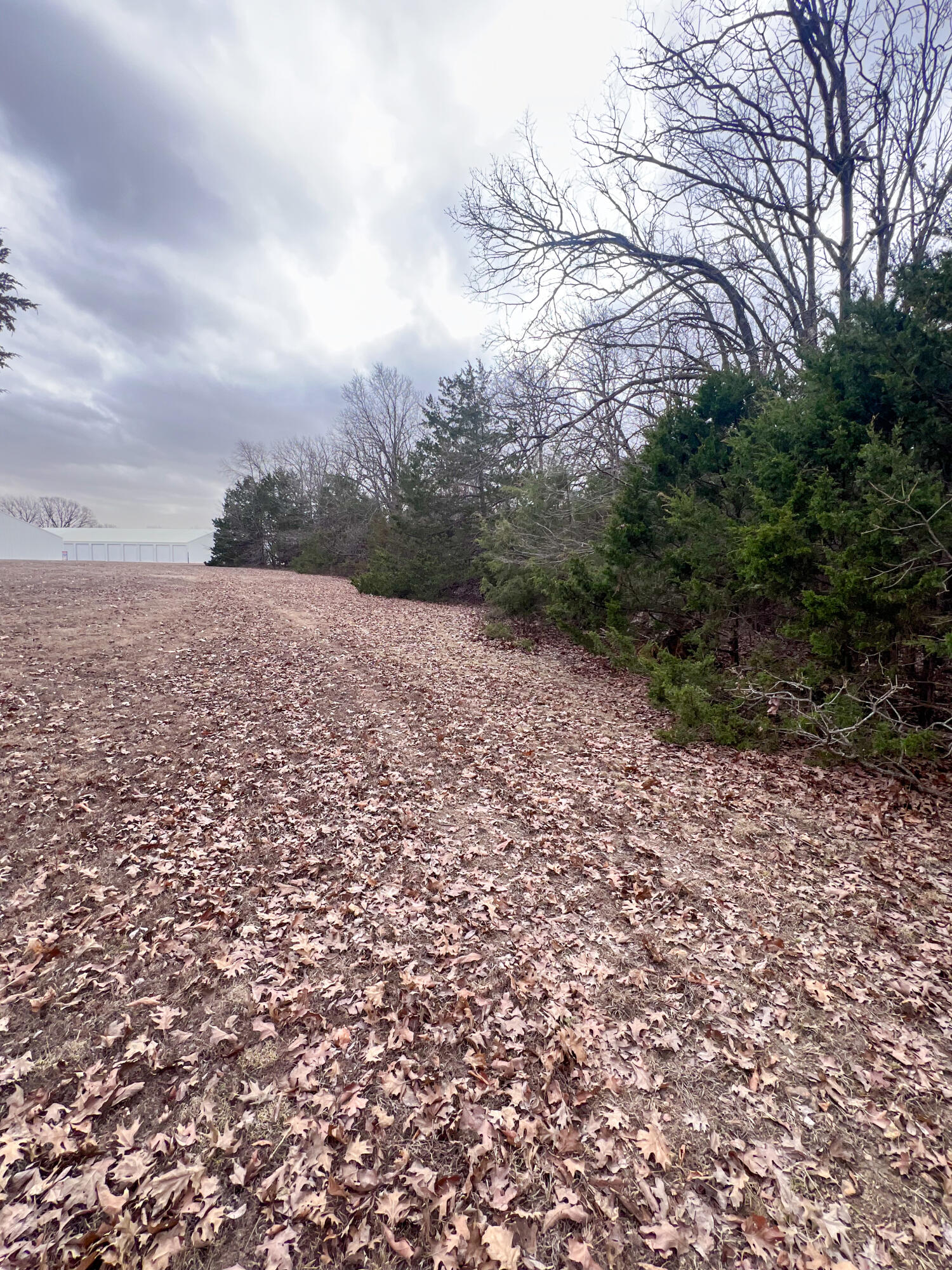 000 County Road 245 Property Photo 4