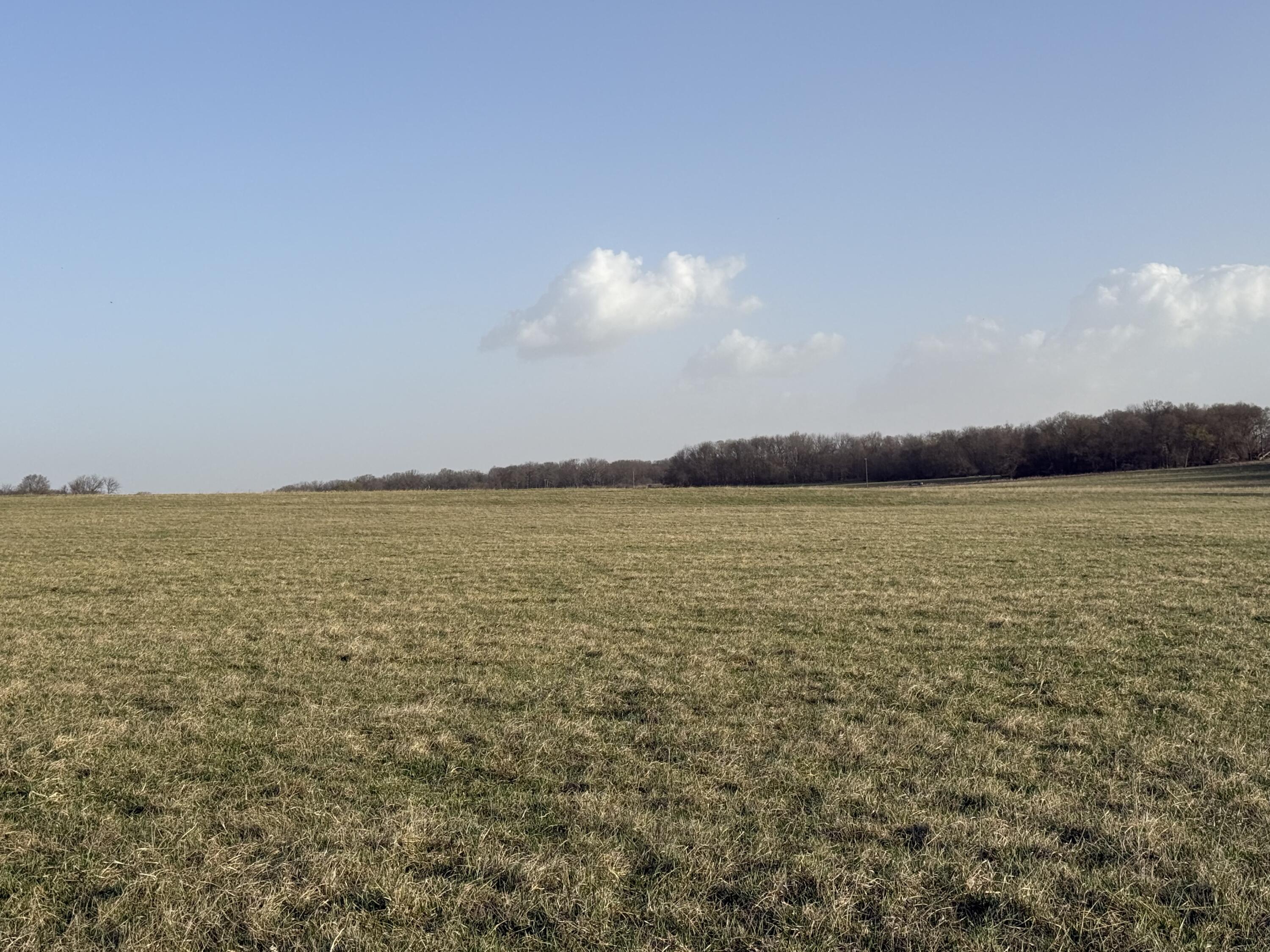 000 Us Highway 160 Property Photo 4