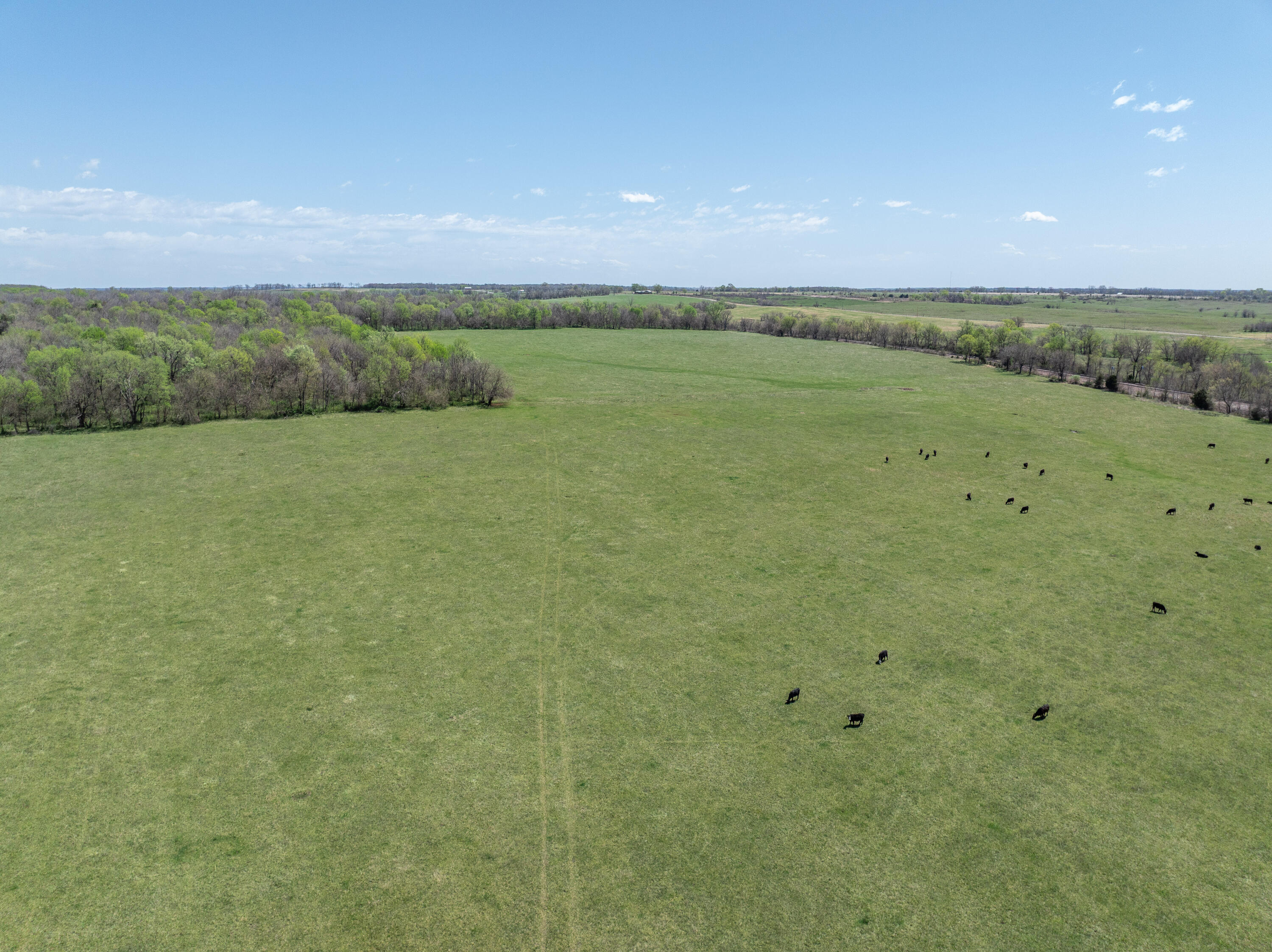 000 Us Highway 160 Property Photo 12
