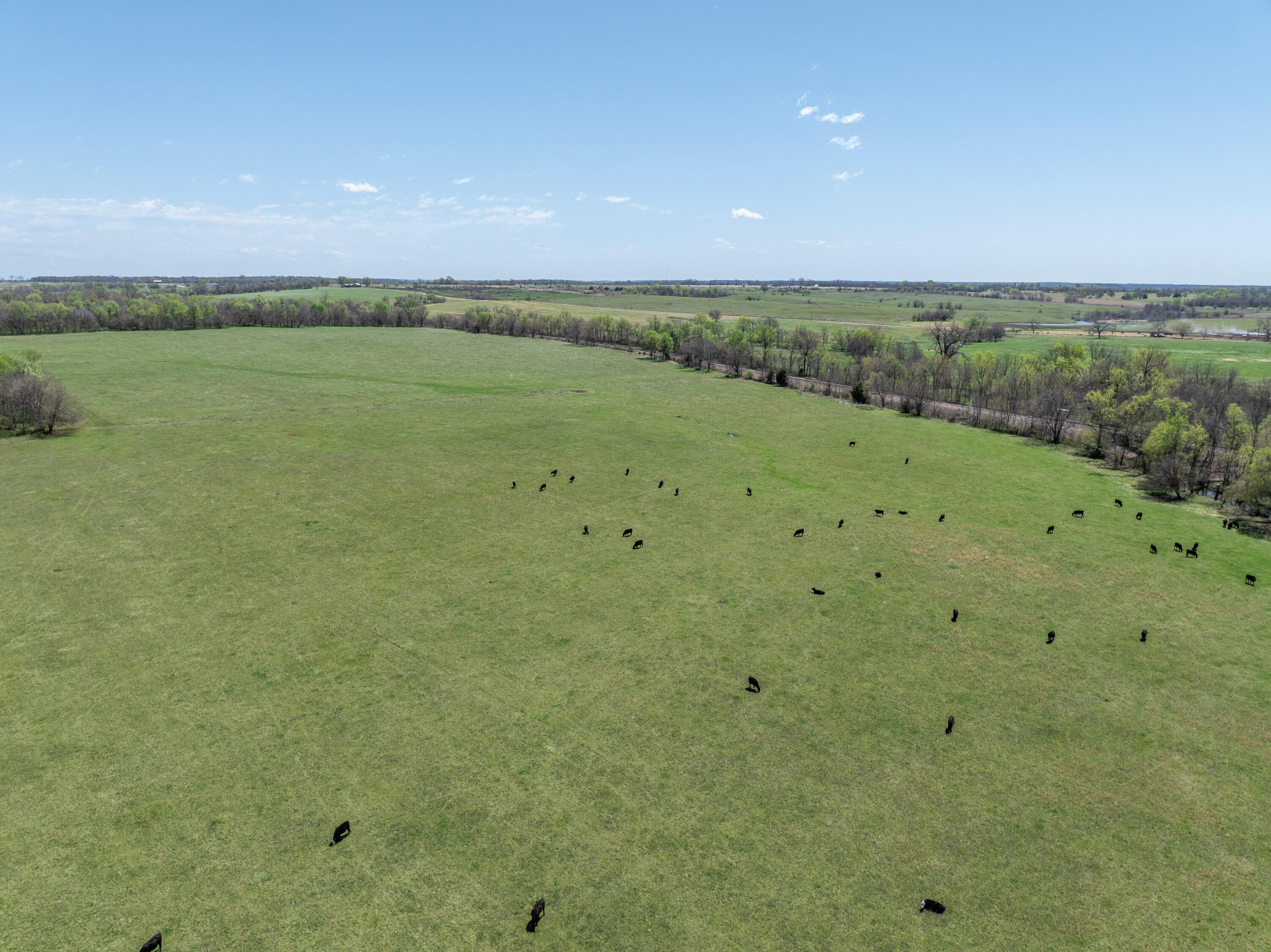 000 Us Highway 160 Property Photo 13