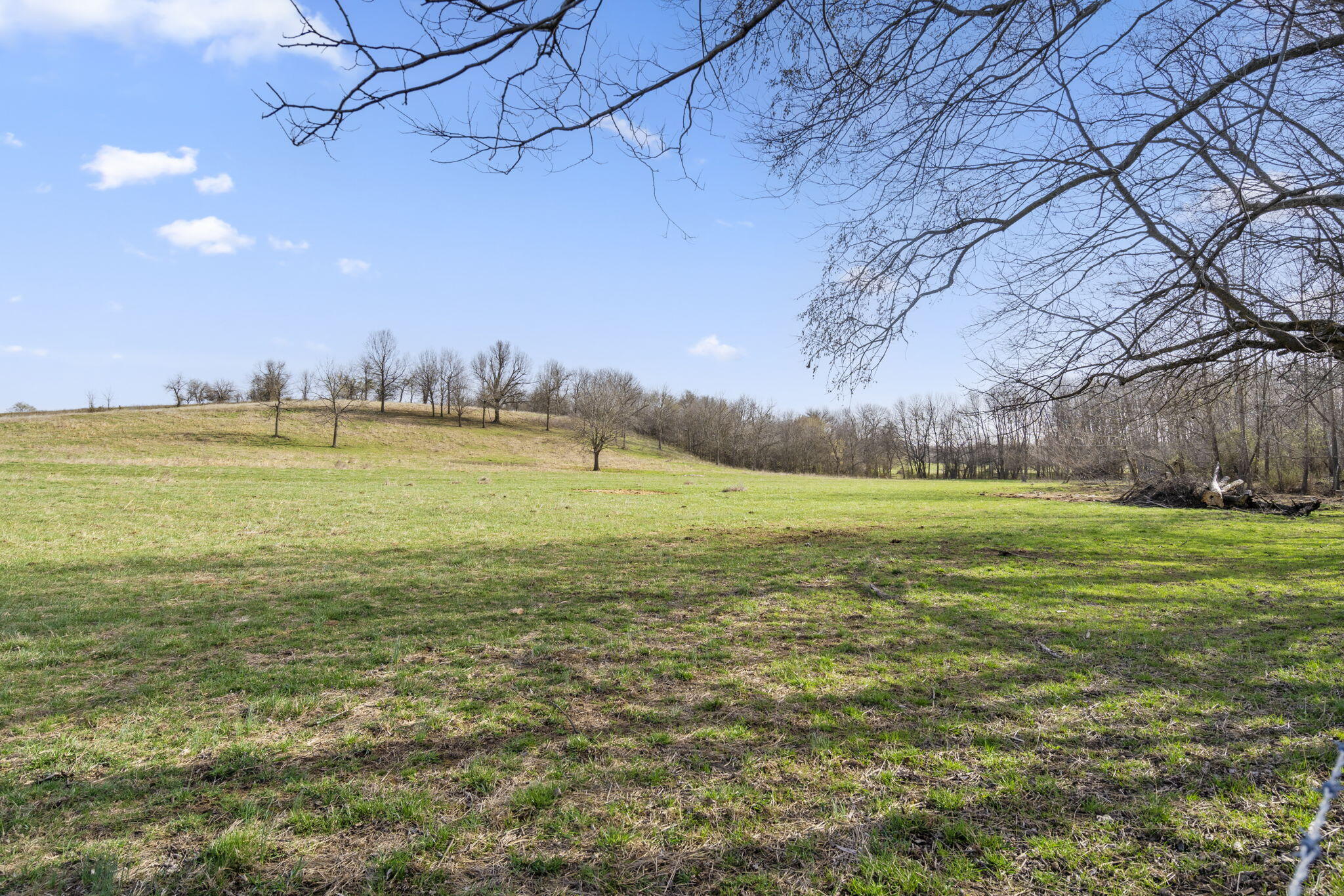 Lot 1 Lawrence 1020 Property Photo 8