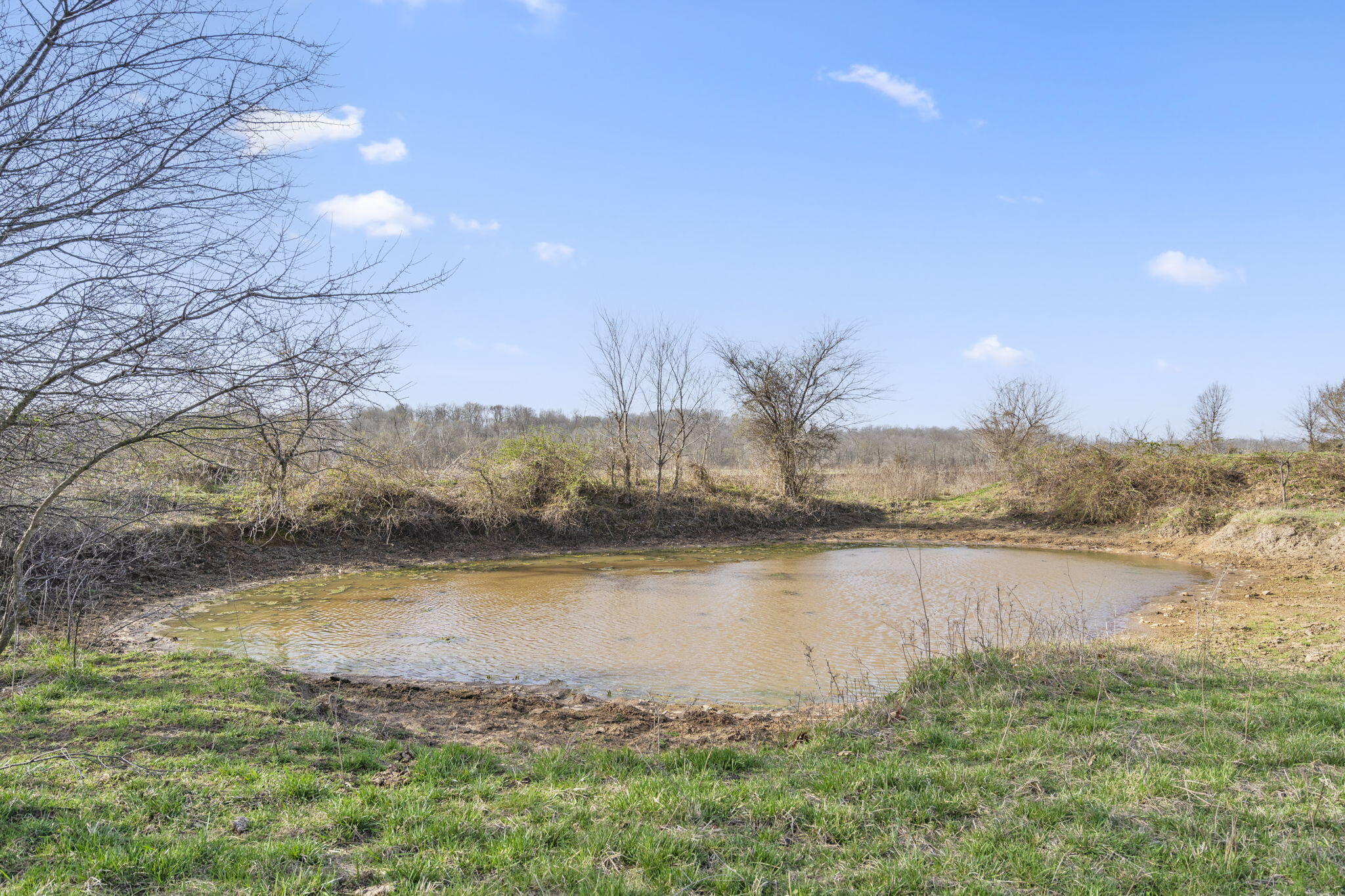Lot 2 Lawrence 1020 Property Photo 12