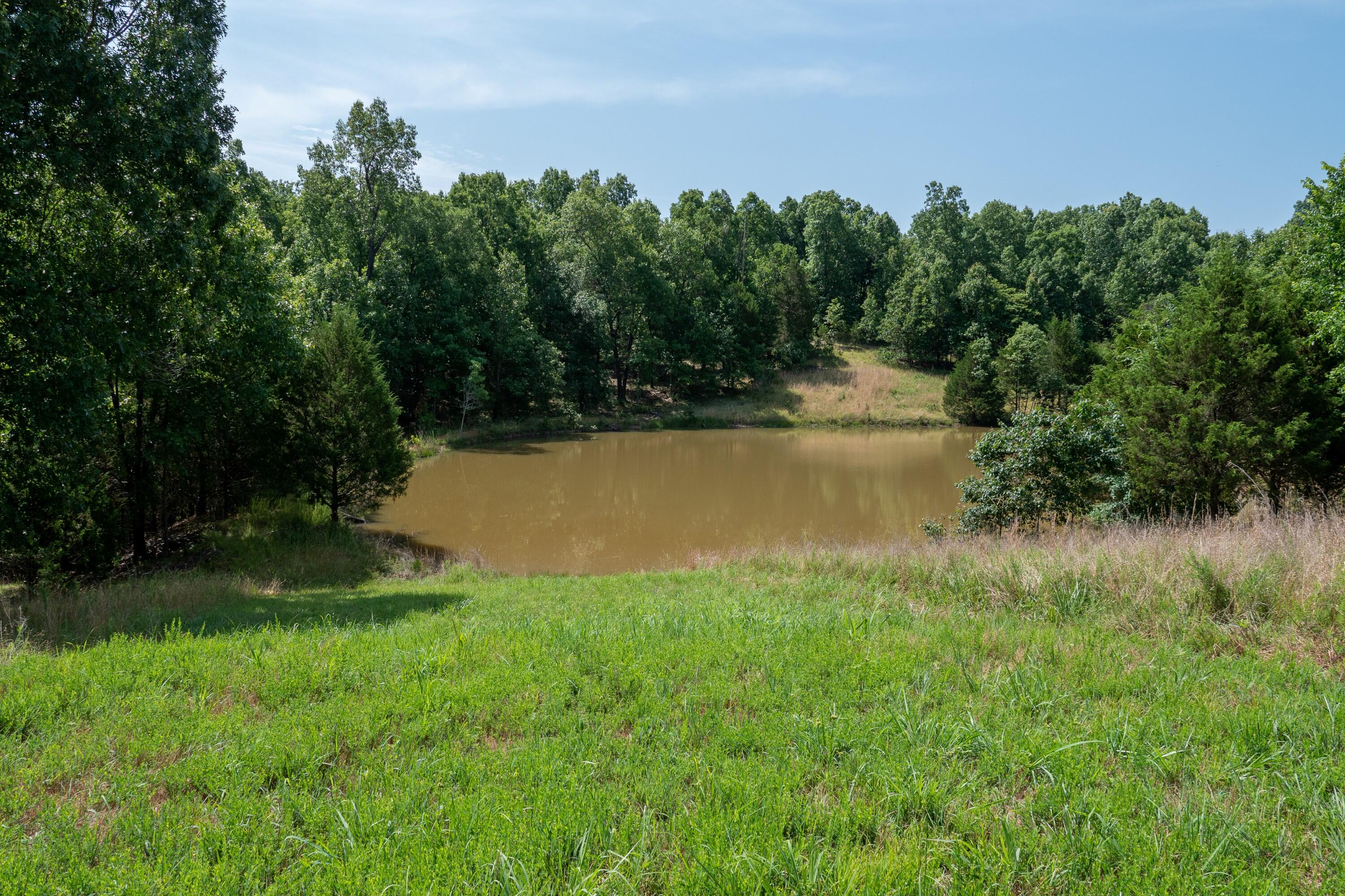 000 Lakeview Drive Property Photo 14