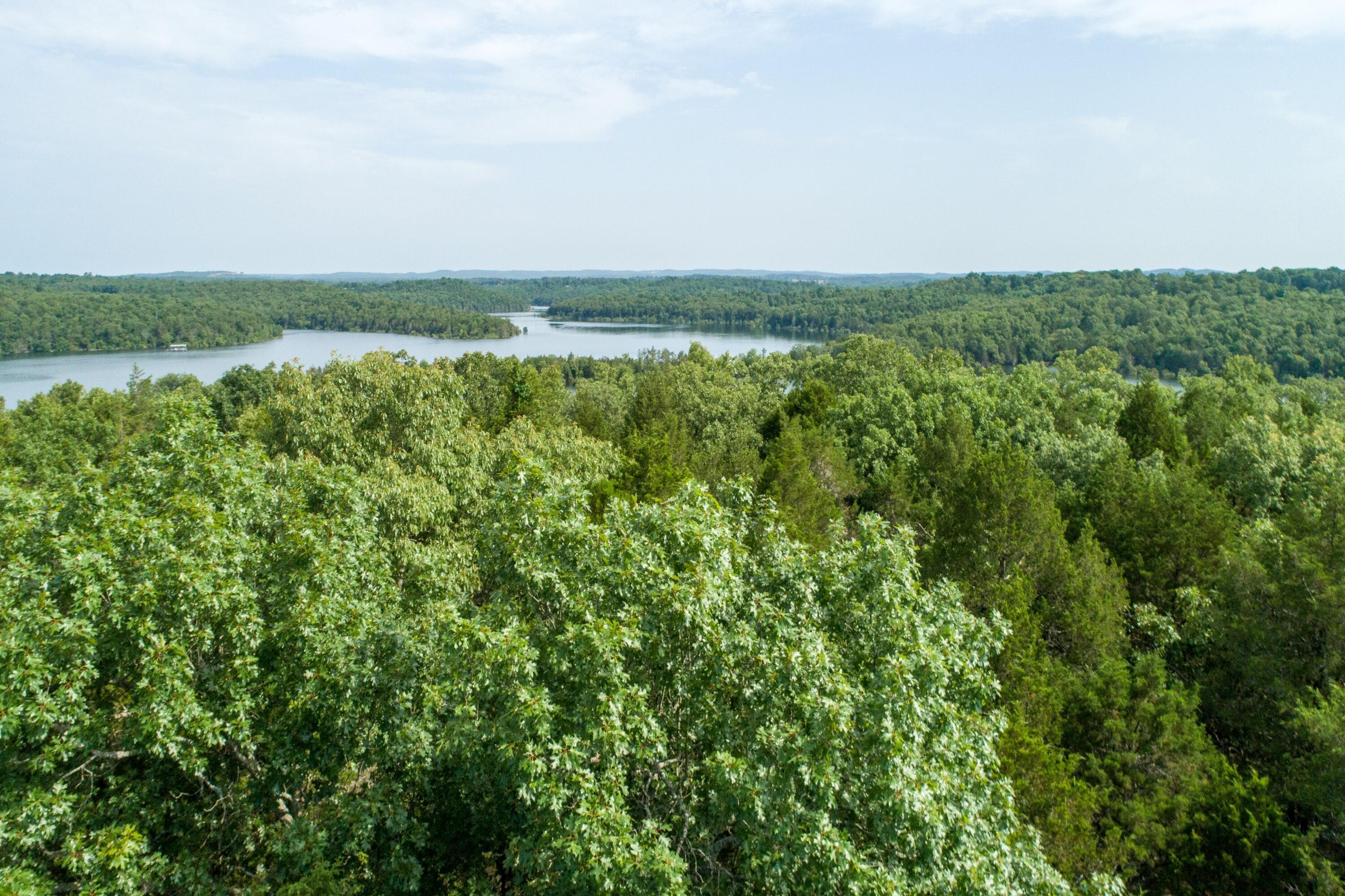 000 Shoal Creek Drive Property Photo 11