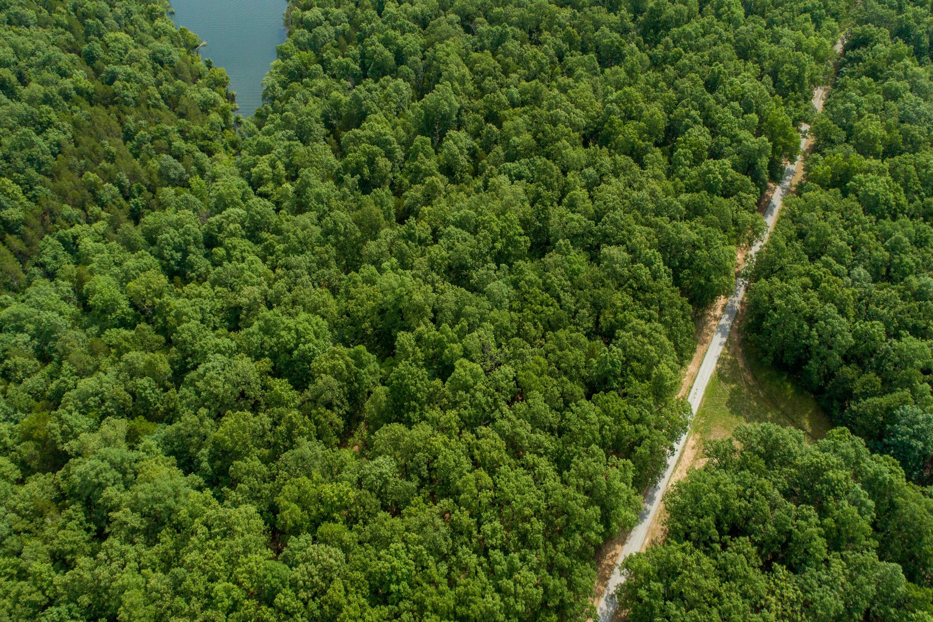 000 Shoal Creek Drive Property Photo 12