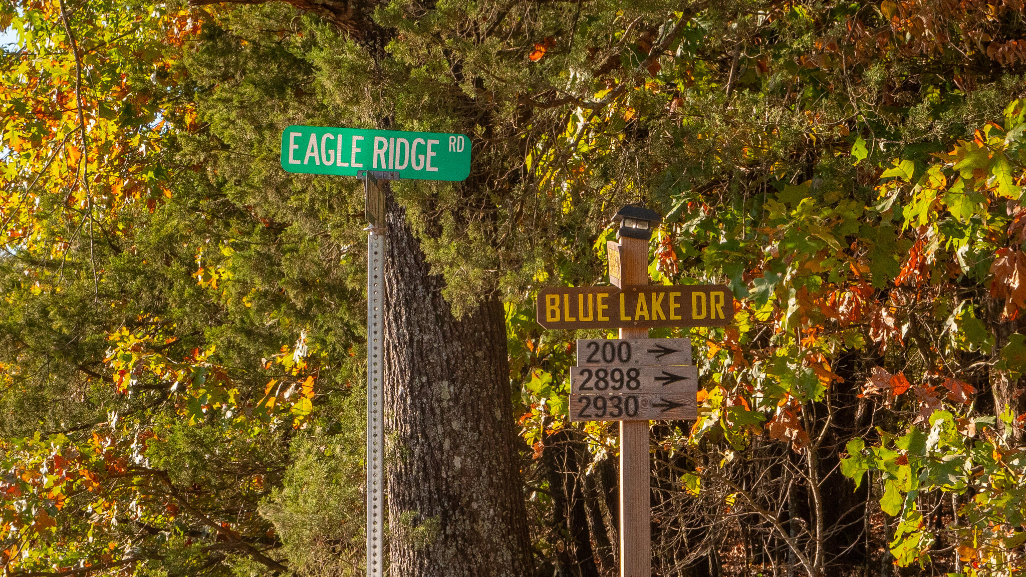 000 Shoal Creek Drive Property Photo 42