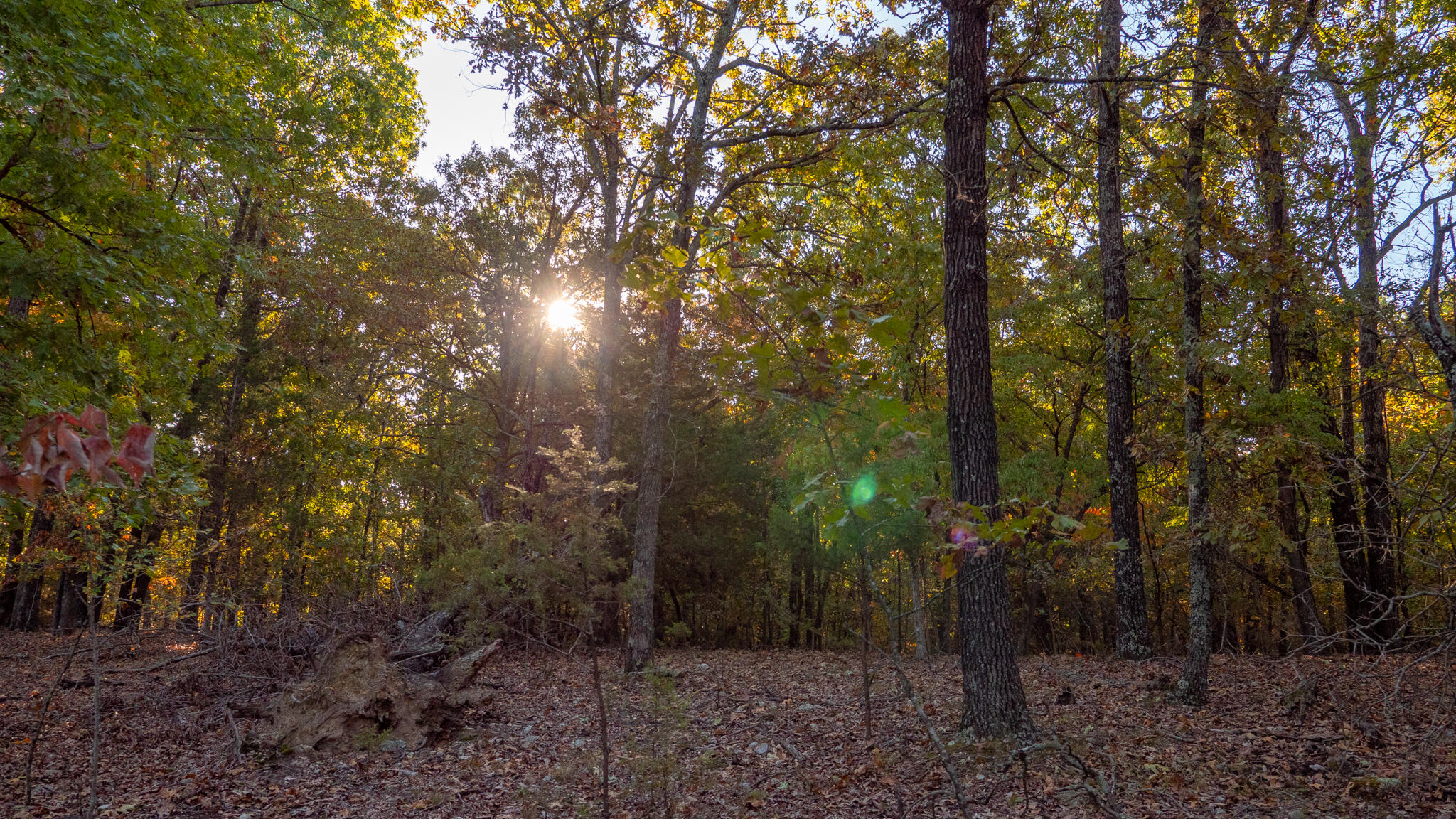 000 Shoal Creek Drive Property Photo 47
