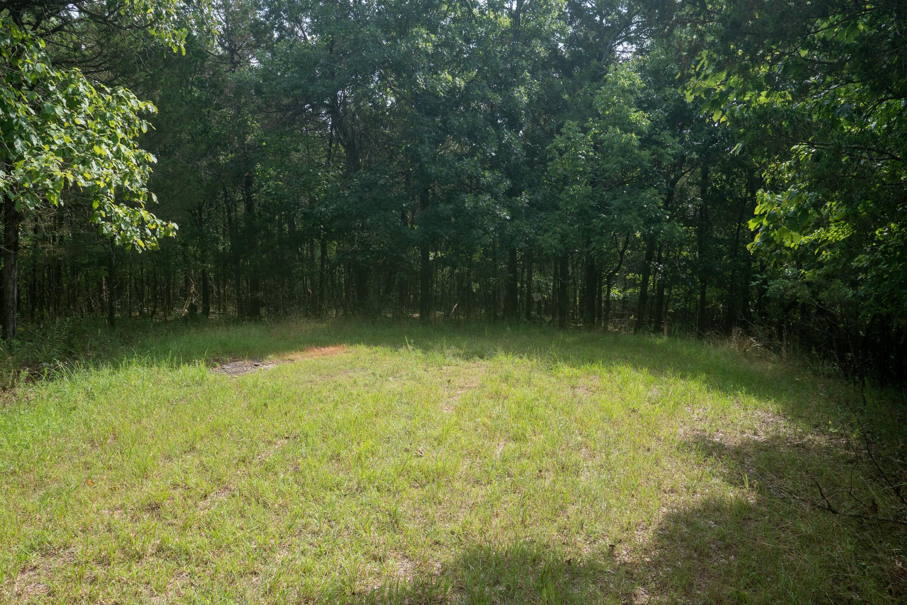 000 Shore Cove Property Photo 7